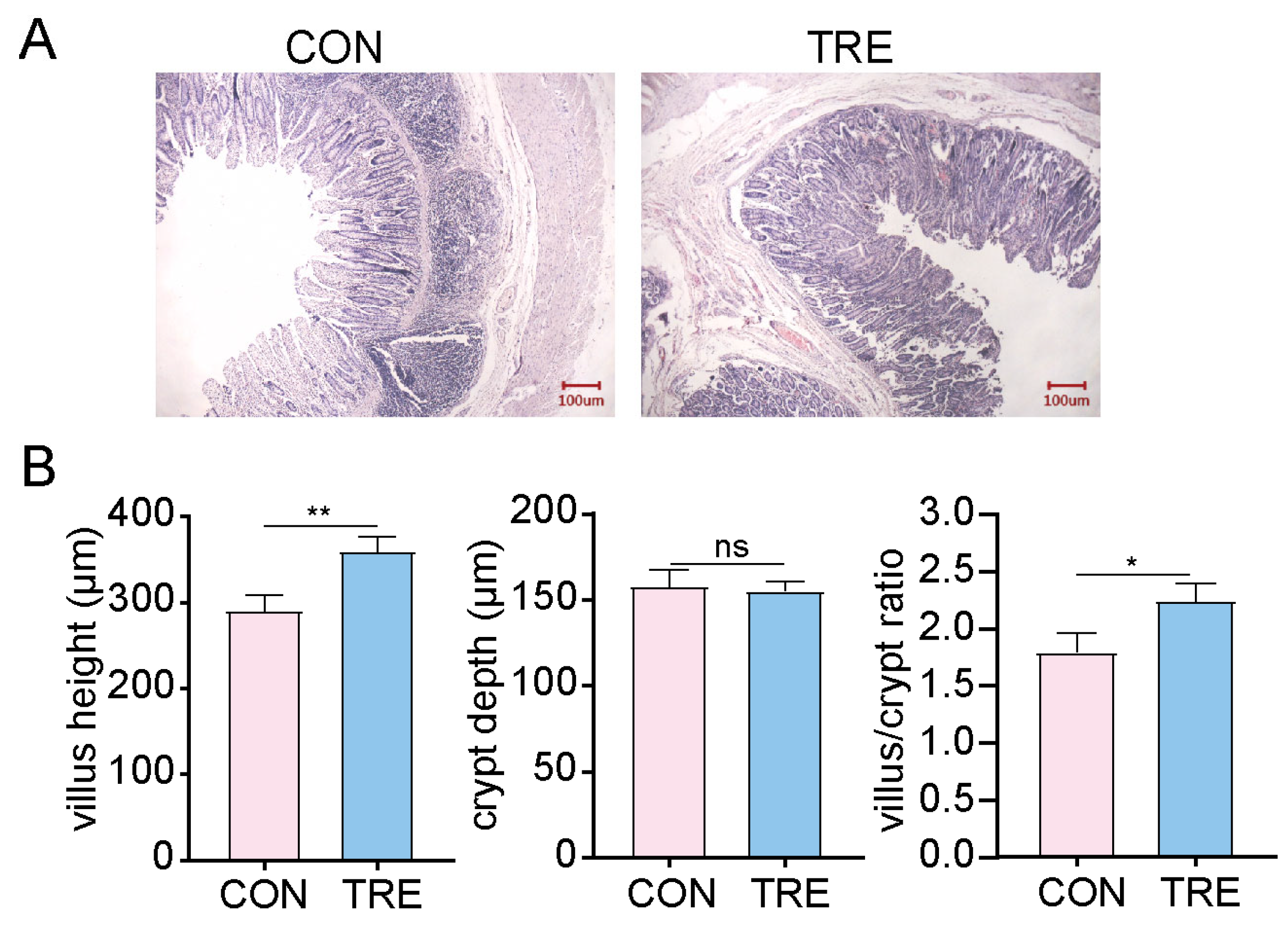 Vetsci 12 01034 g001 Vetsci 12 01034 g001