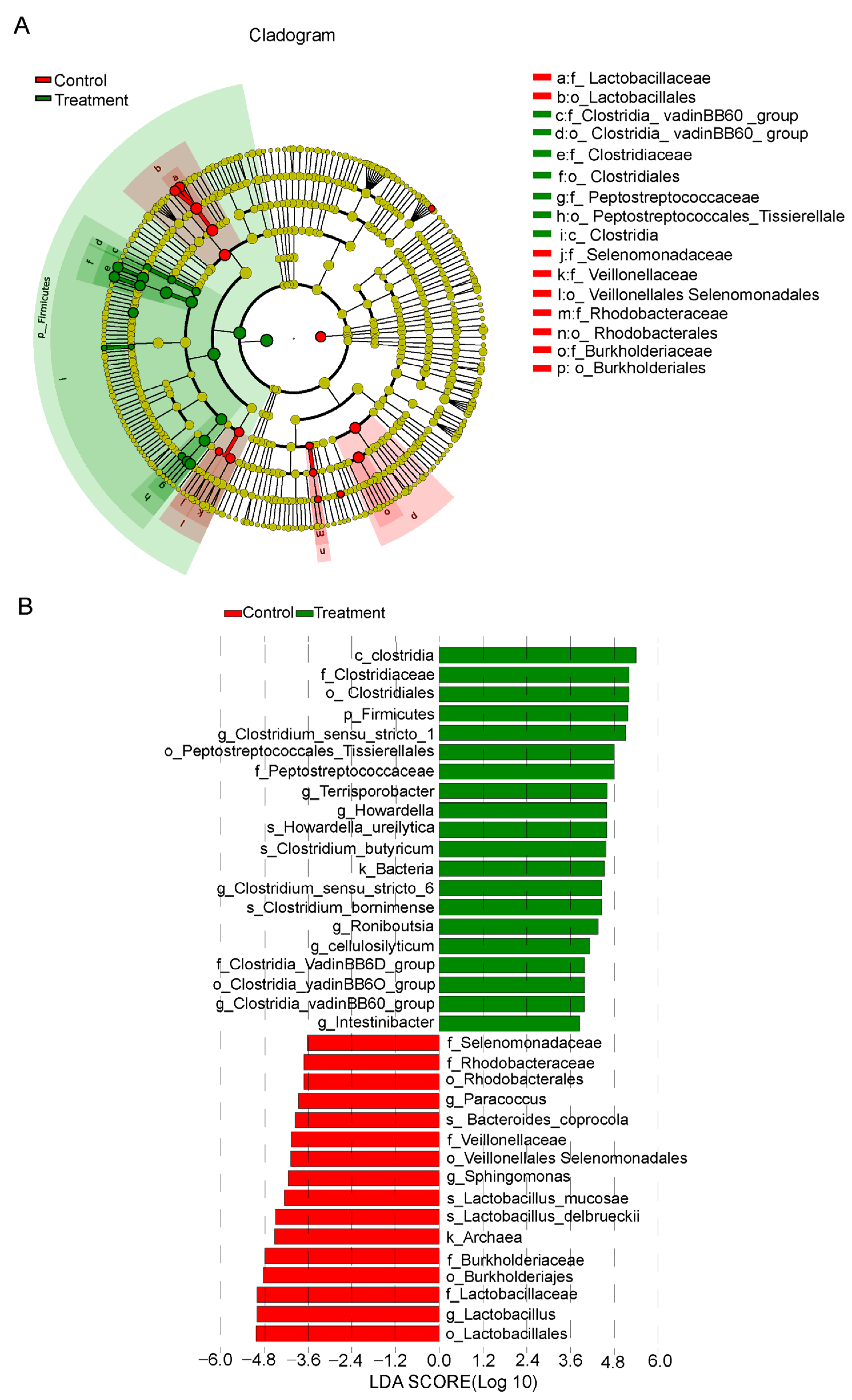 Vetsci 12 01034 g004 Vetsci 12 01034 g004
