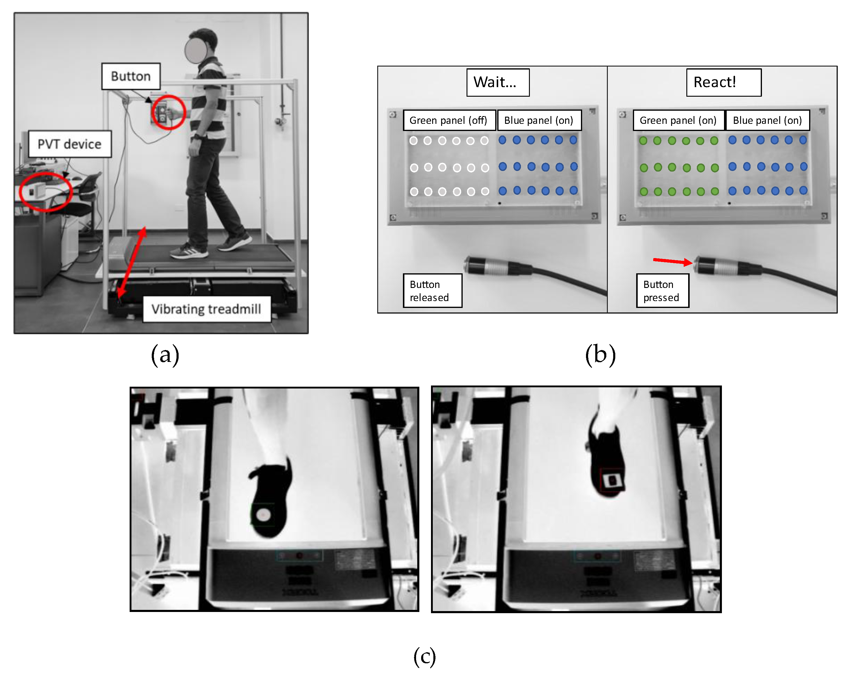 Vibration 07 00019 g001 Vibration 07 00019 g001