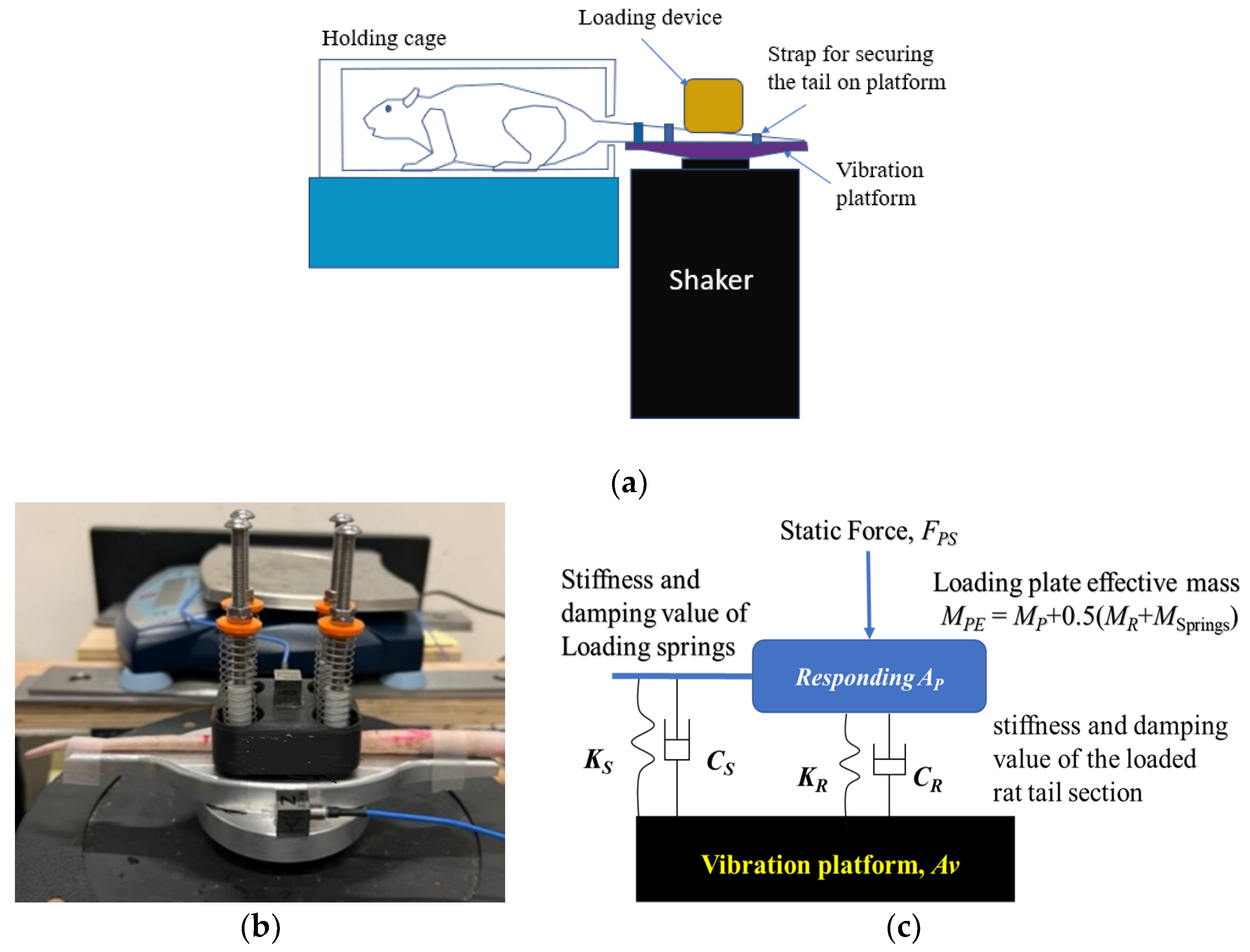 Vibration 07 00038 g001