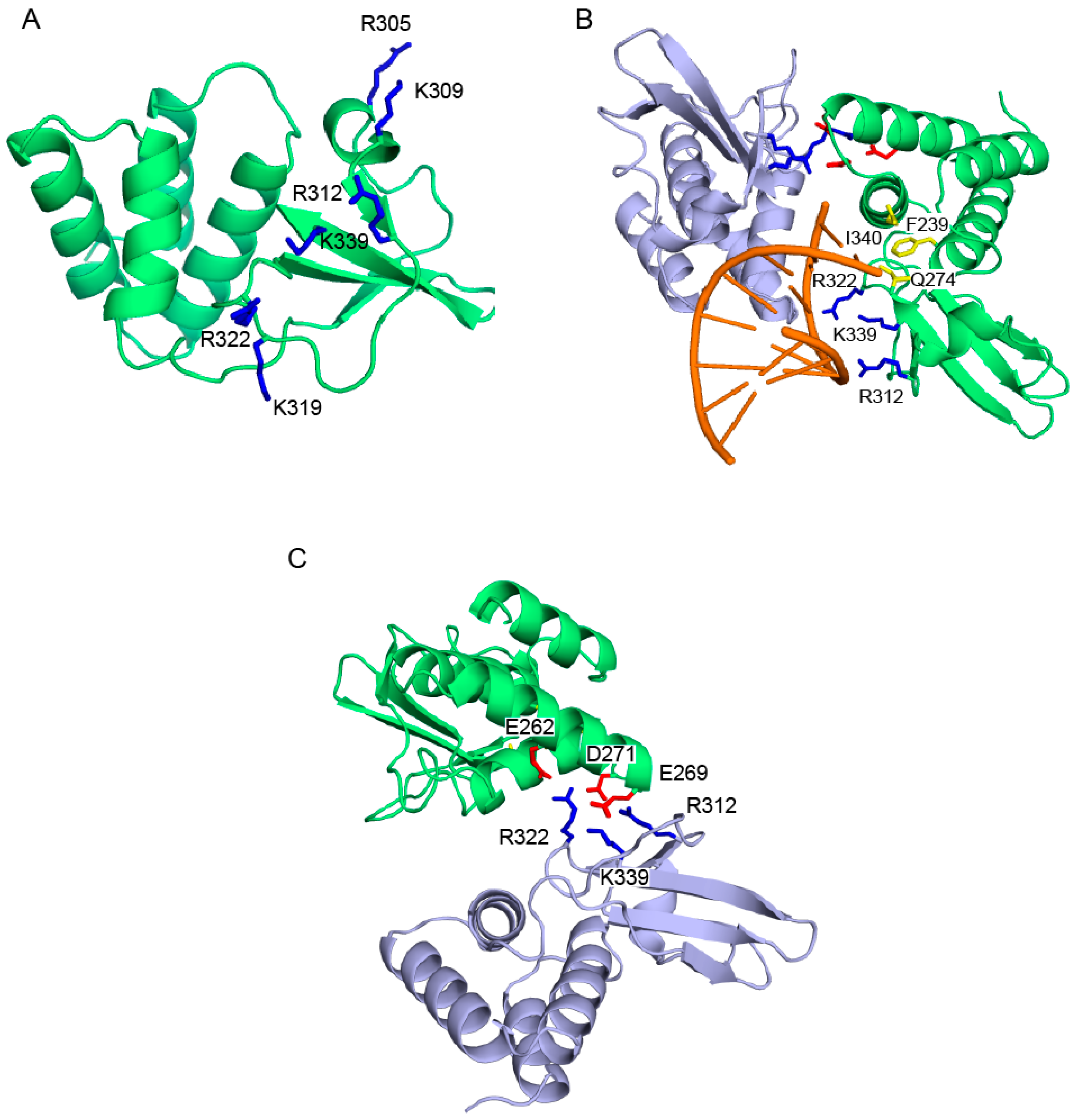 Viruses 03 01634 g002