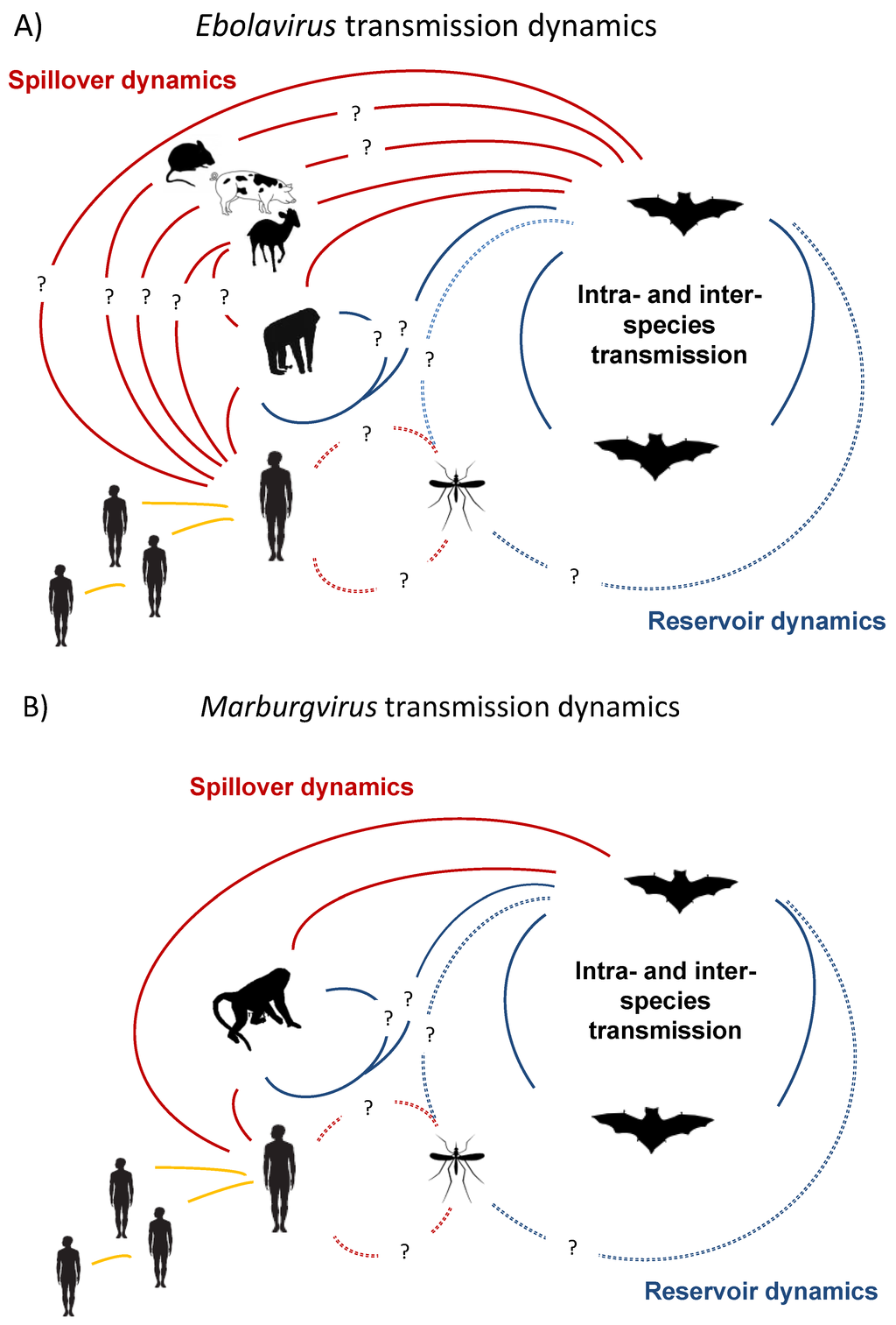Viruses | Free Full-Text | Filoviruses in Bats: Current Knowledge and  Future Directions