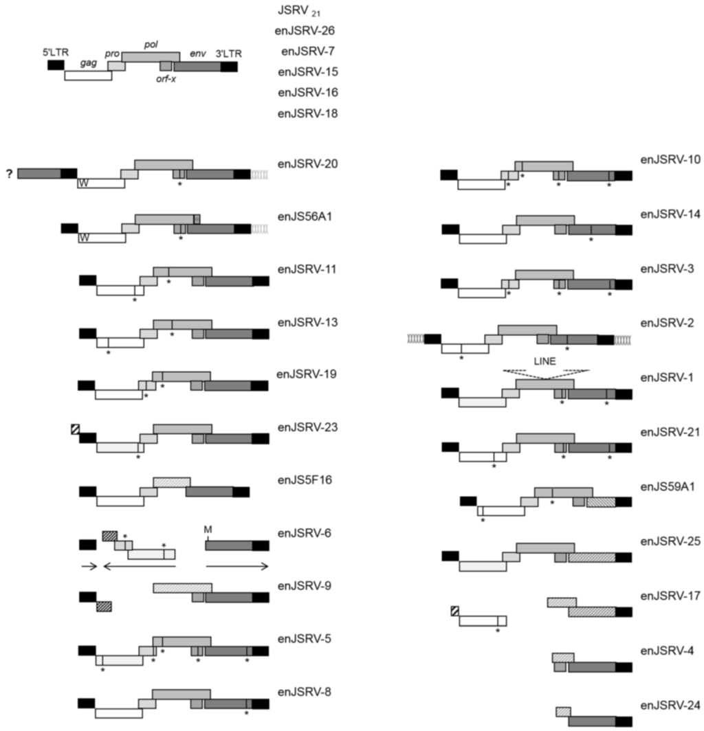 https://www.mdpi.com/viruses/viruses-06-04926/article_deploy/html/images/viruses-06-04926-g002-1024.png