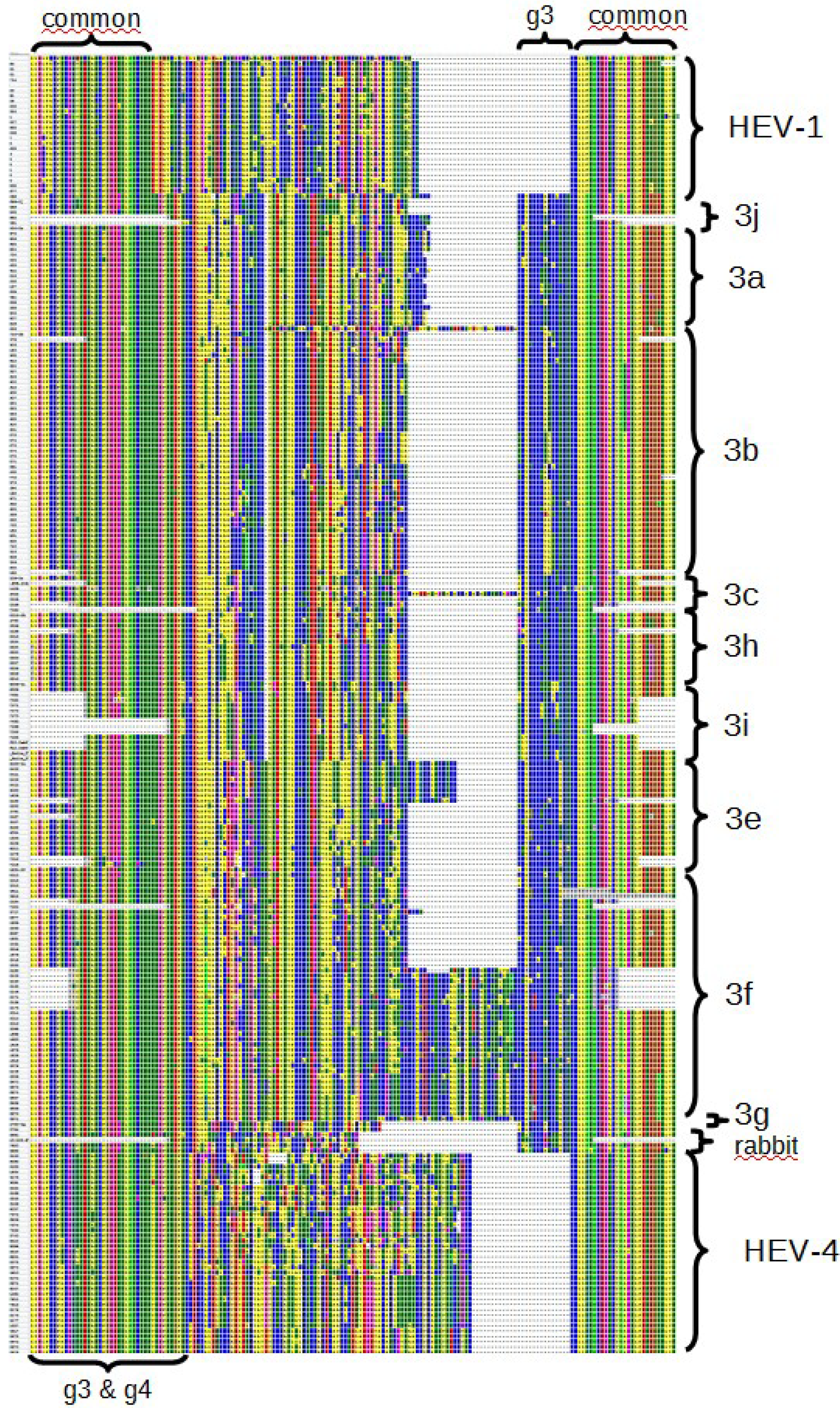 Viruses 07 02704 g005