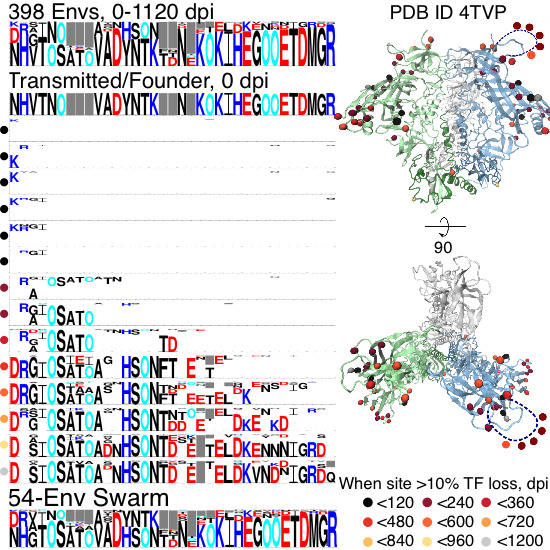 Viruses Free FullText Longitudinal Antigenic