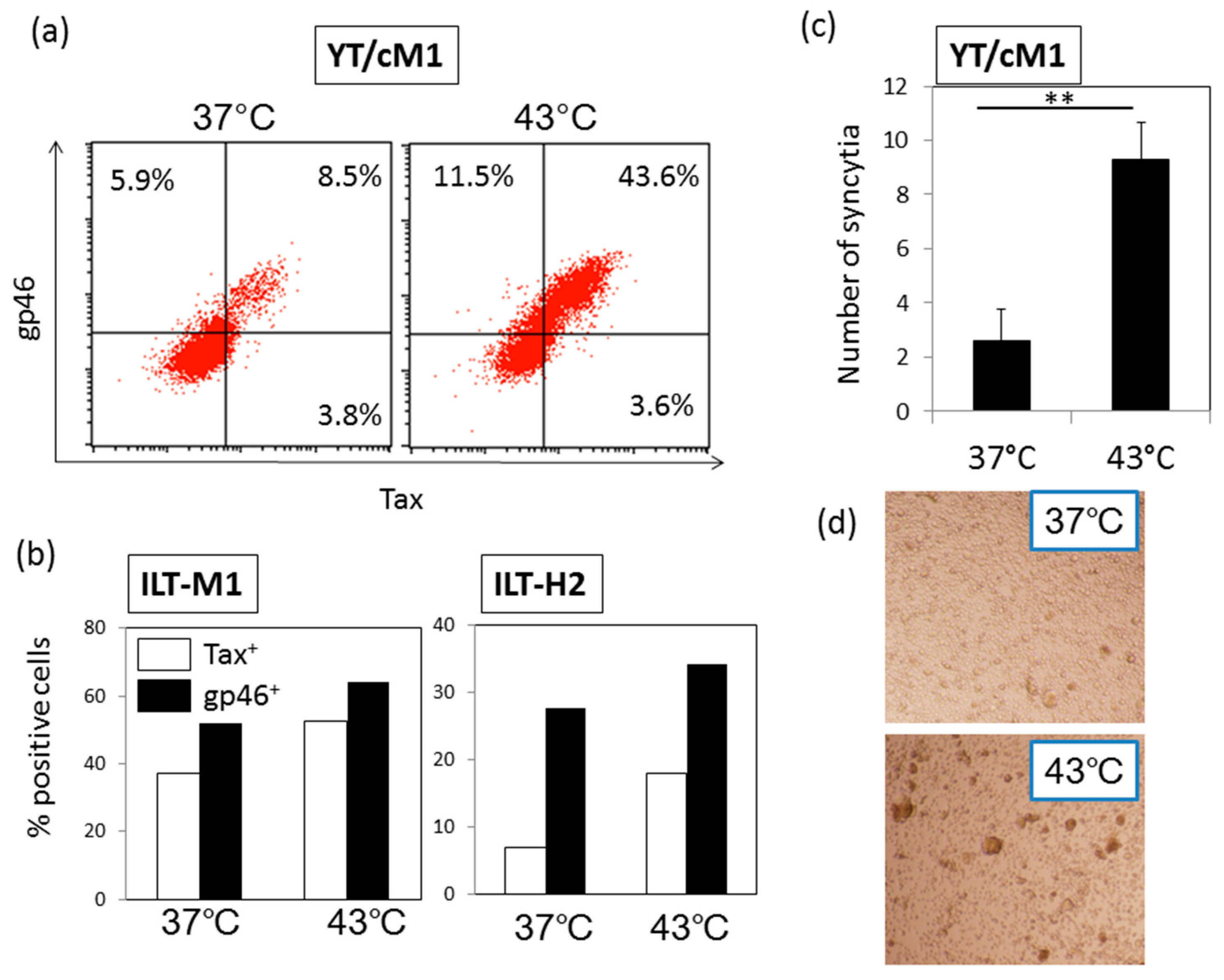 Viruses 08 00191 g003
