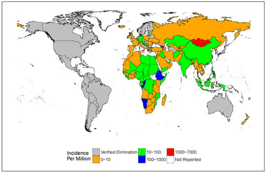 Viruses | Free Full-Text | Perspective on Global Measles Epidemiology ...