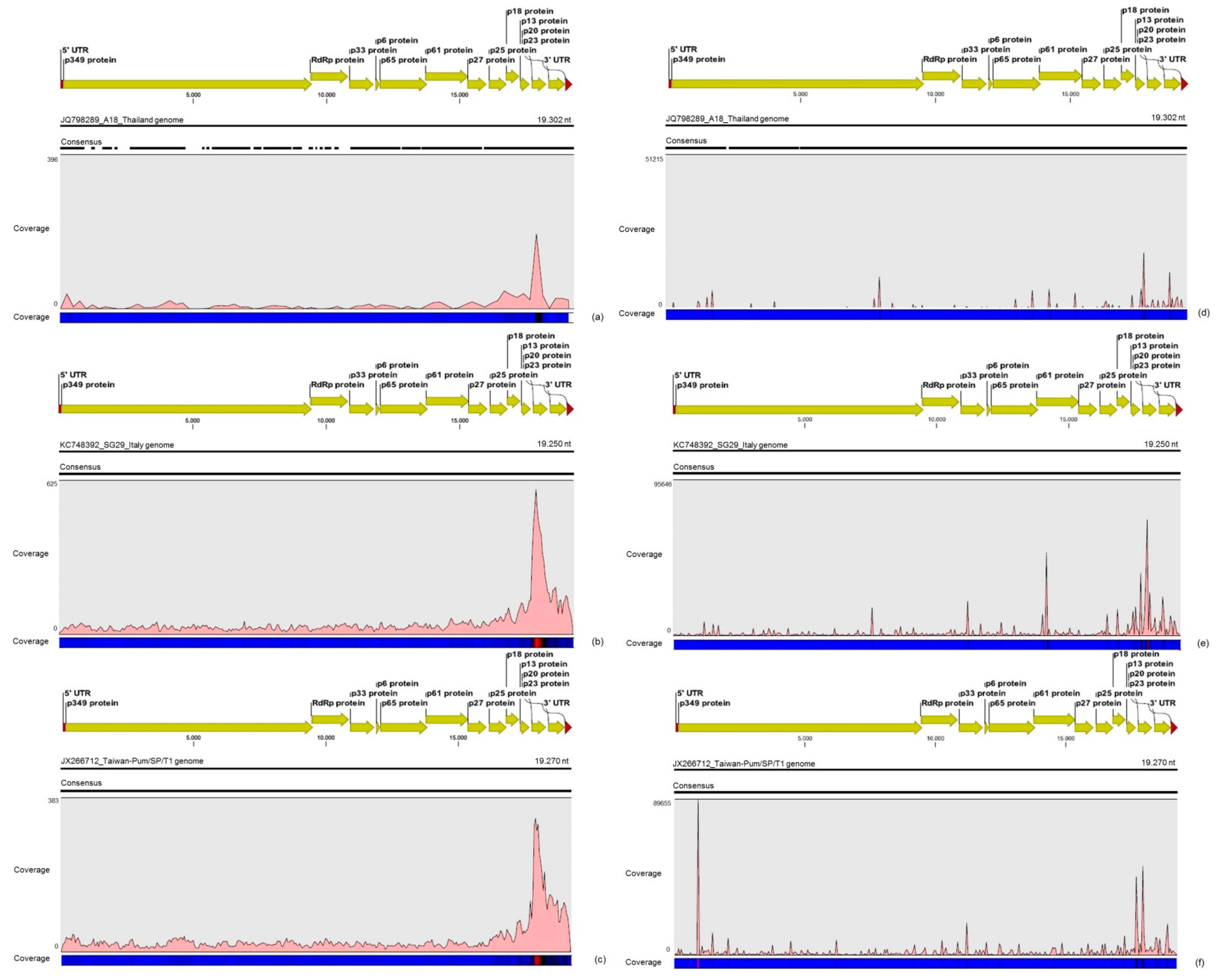 Viruses 09 00092 g001