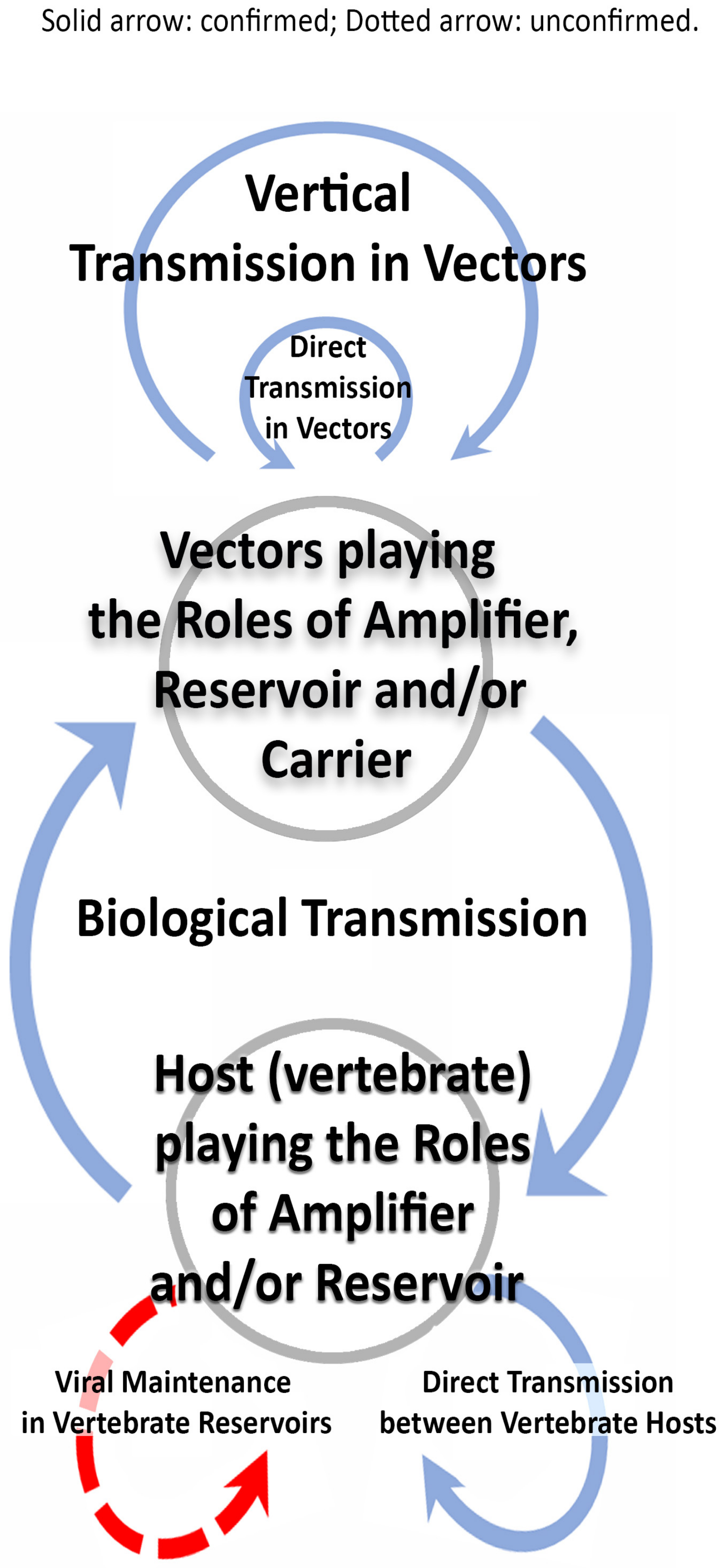 Viruses | Free Full-Text | Vertebrate Reservoirs of Arboviruses: Myth,  Synonym of Amplifier, or Reality? | HTML