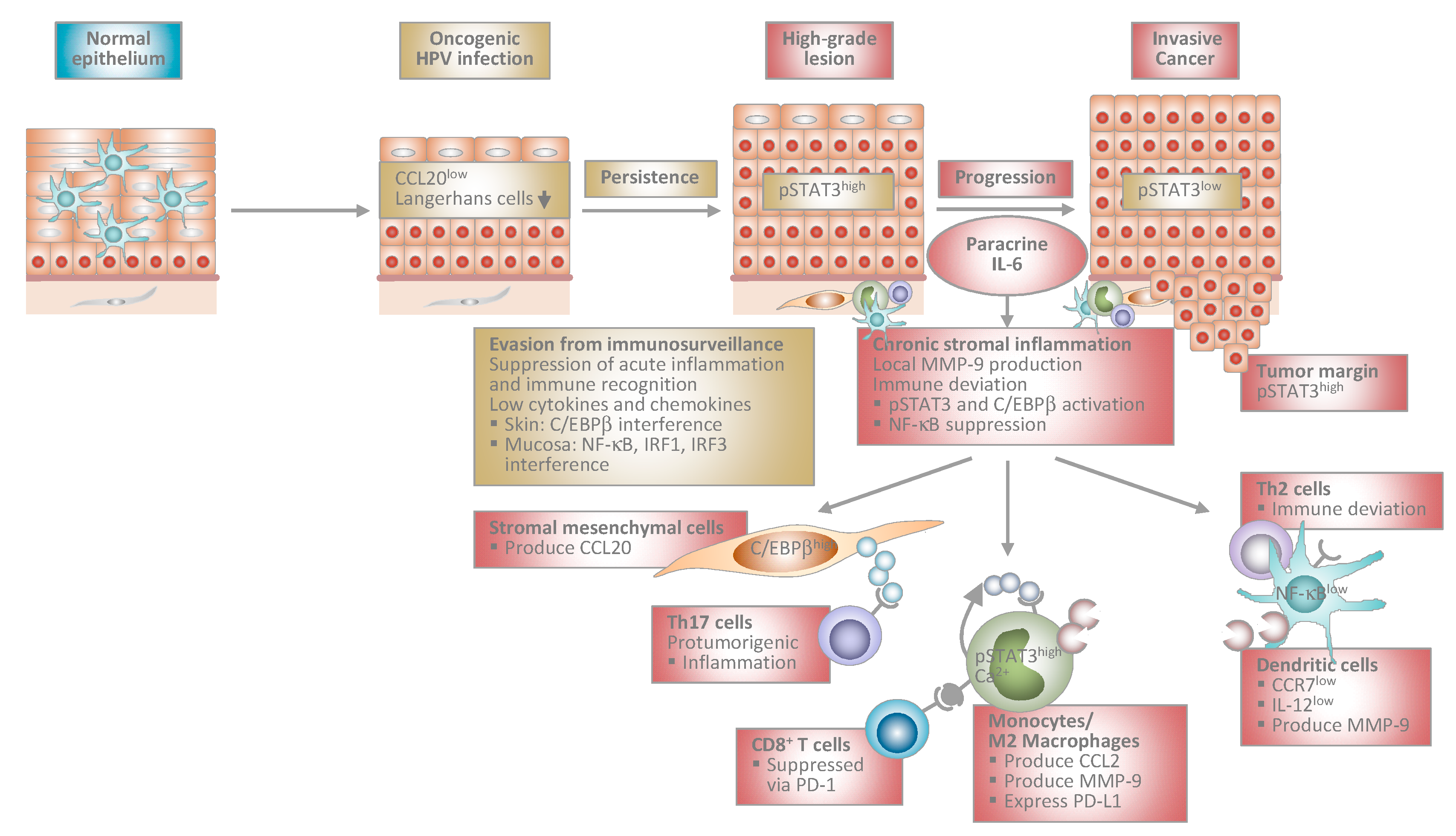 Viruses | Free Full-Text | Immunopathogenesis of HPV-Associated Cancers and  Prospects for Immunotherapy | HTML