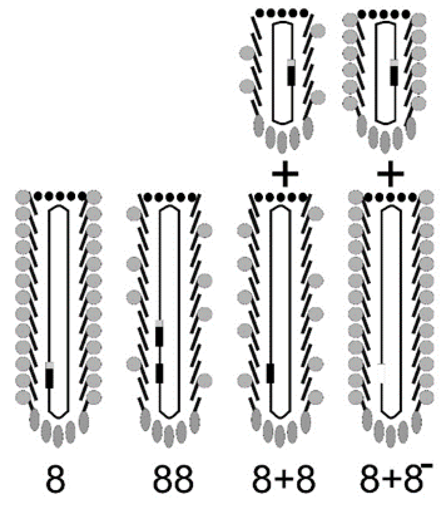 Viruses 10 00311 g002