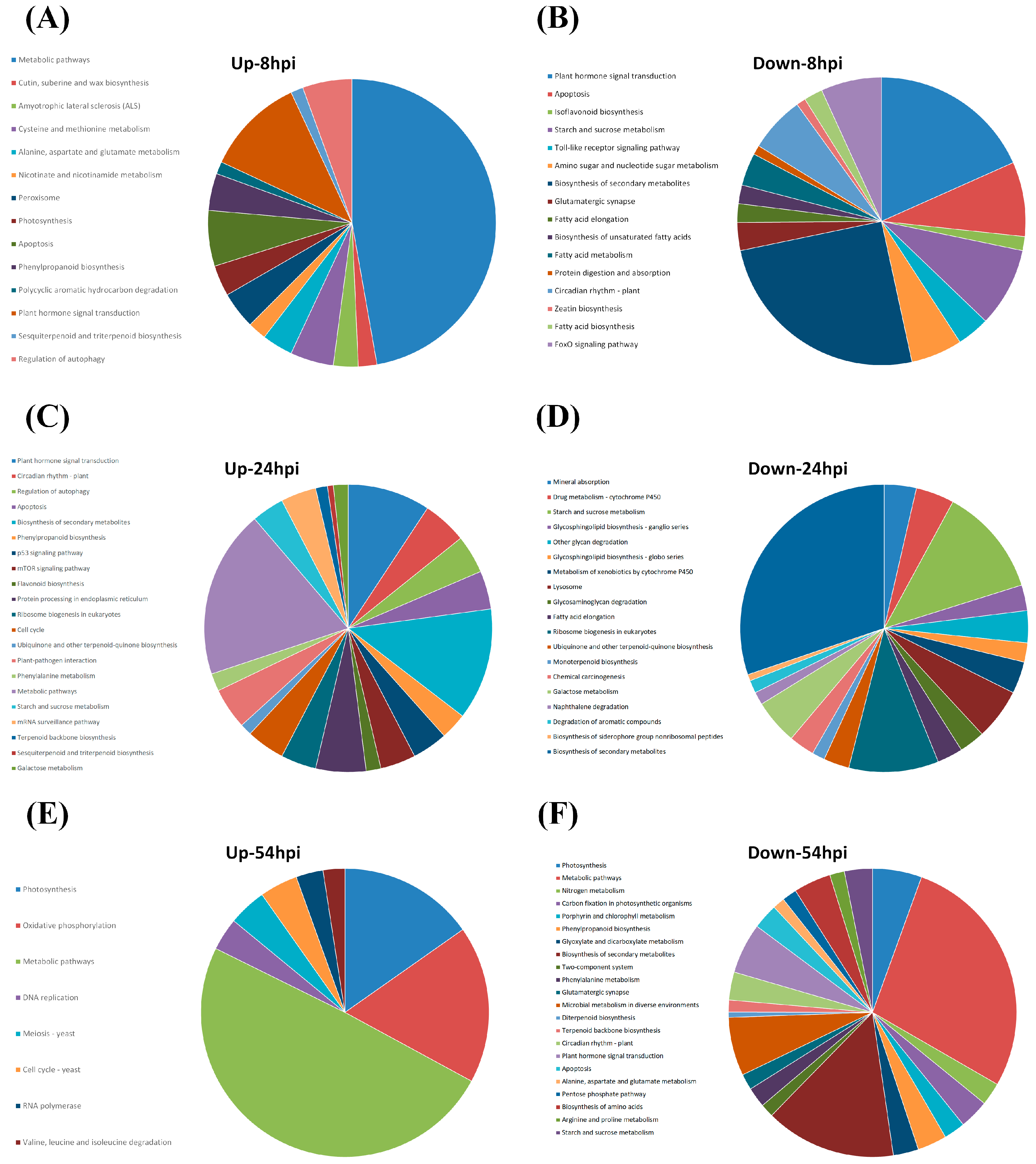 Viruses | Free Full-Text | Elements Involved in the Rsv3-Mediated ...