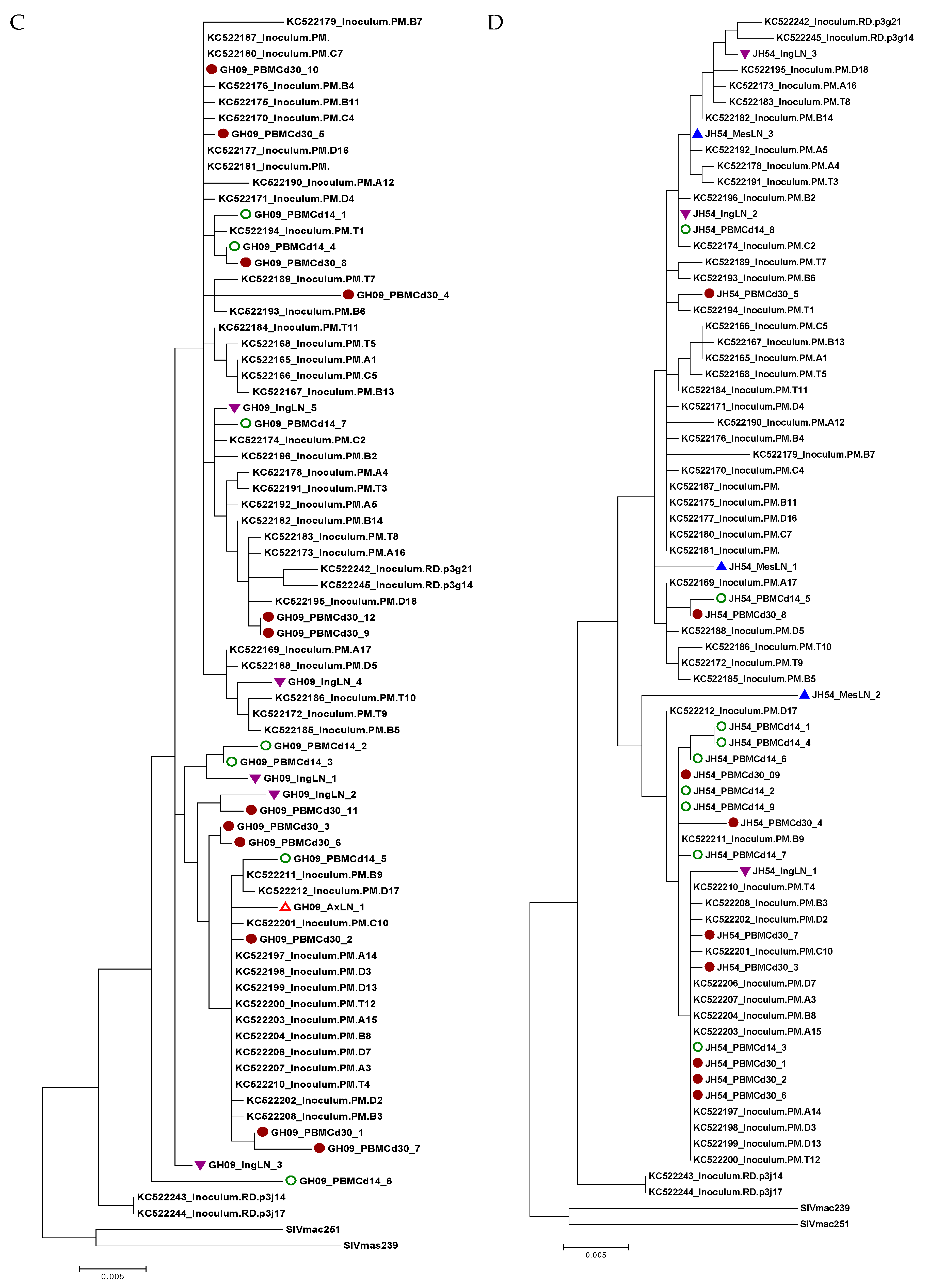 Viruses 11 00105 g005b Viruses 11 00105 g005b