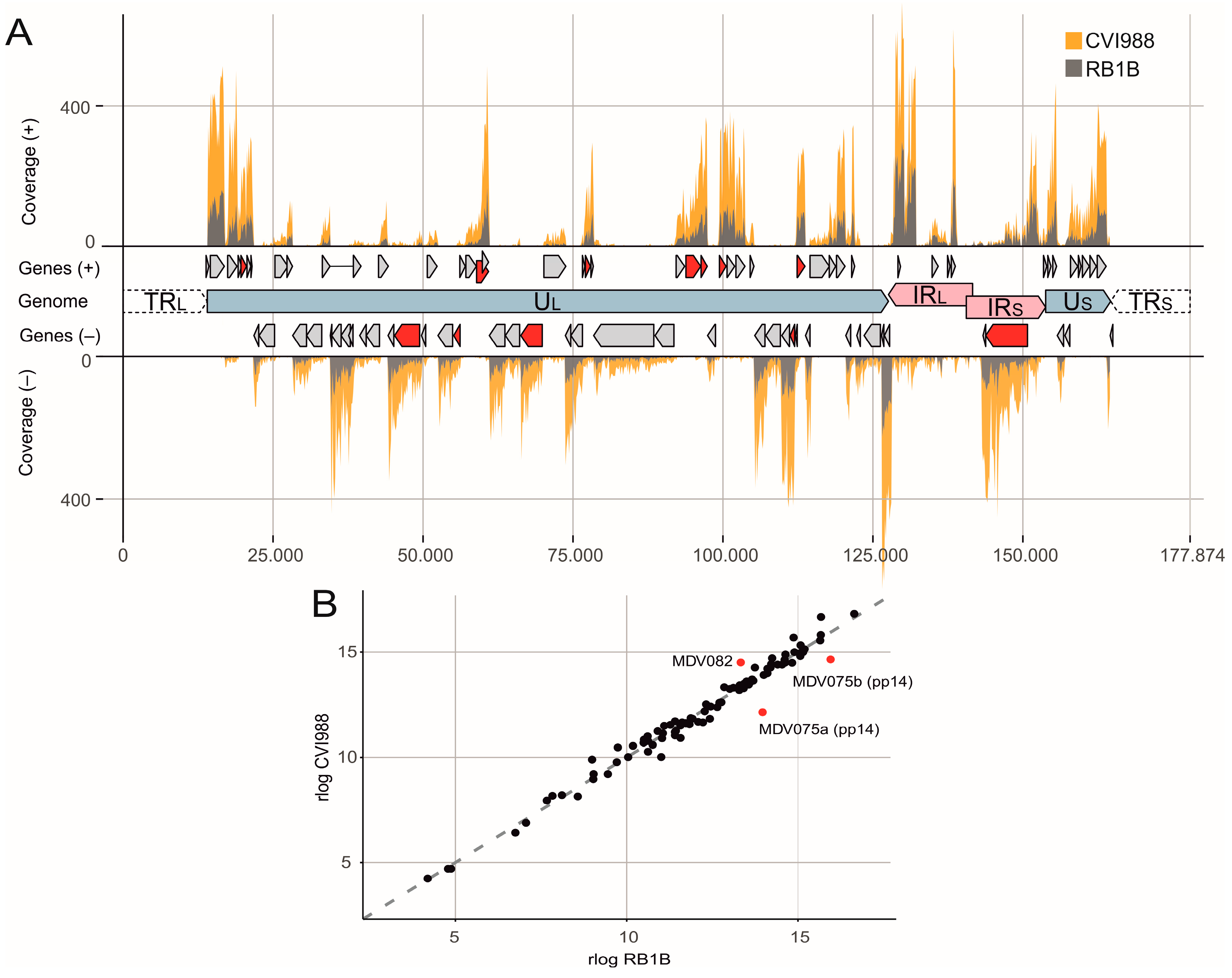 Invitrogen™ ERCC ExFold RNA Spike-In Mixes