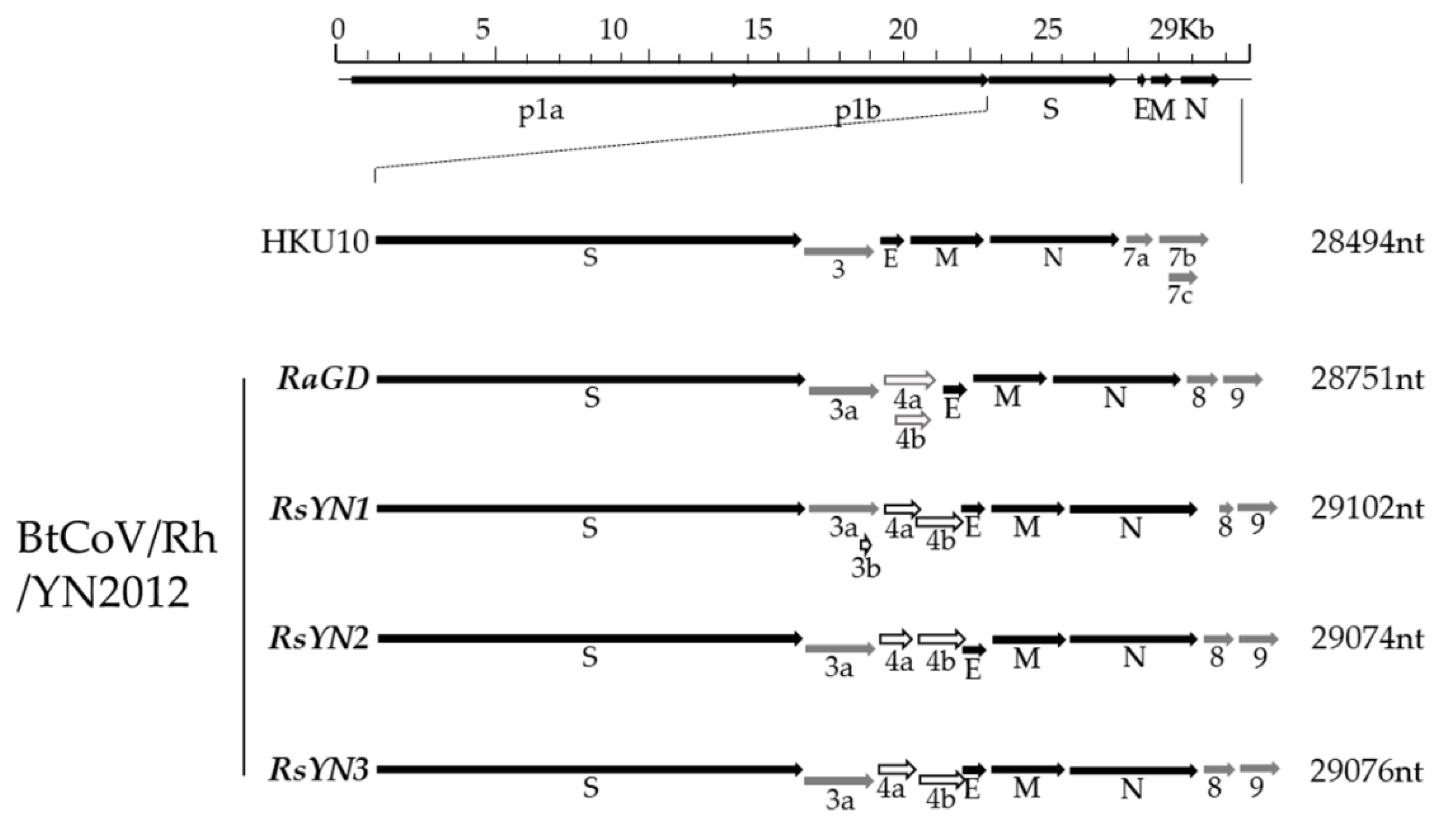 Viruses 11 00379 g002