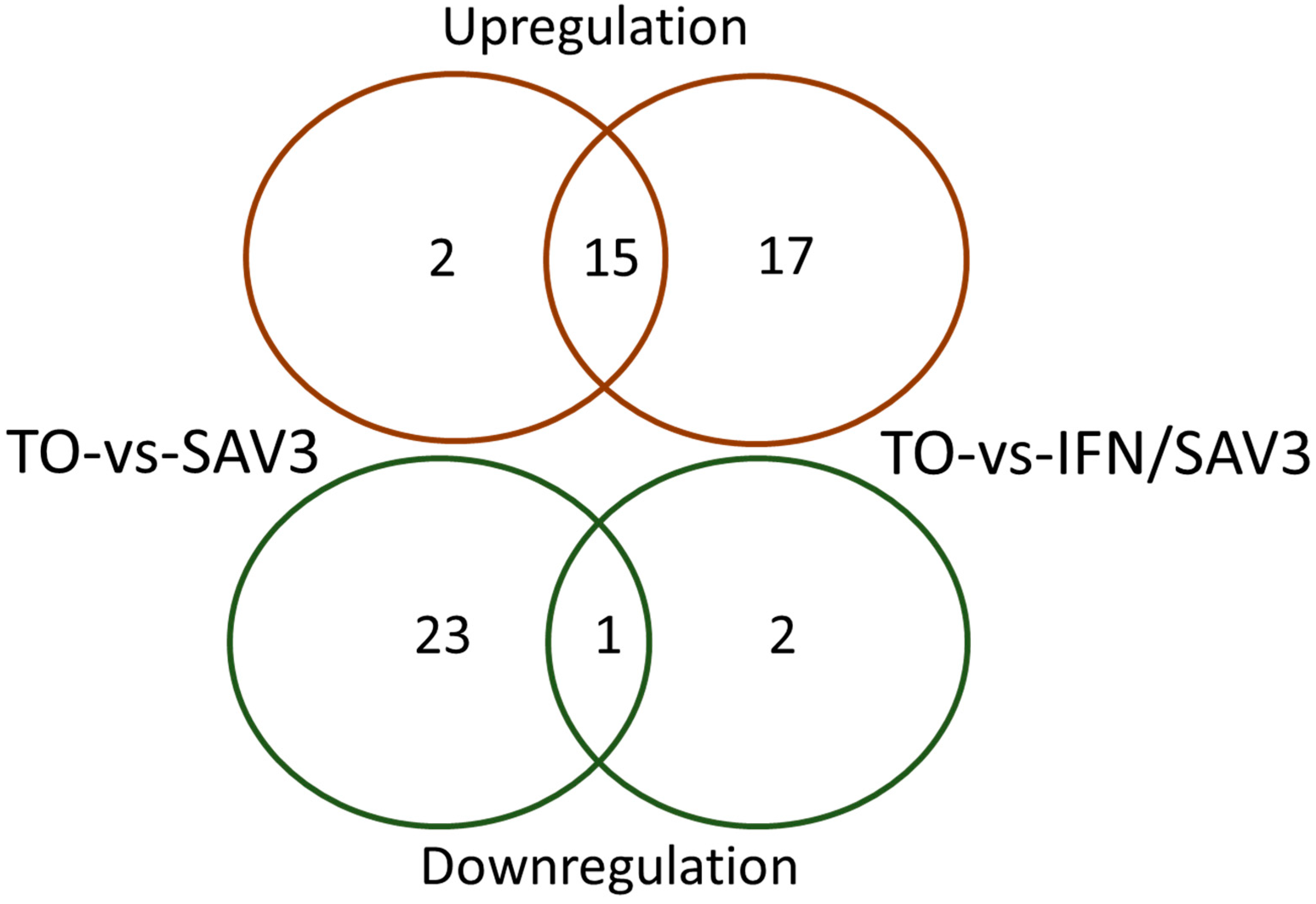 Viruses 11 00464 g001