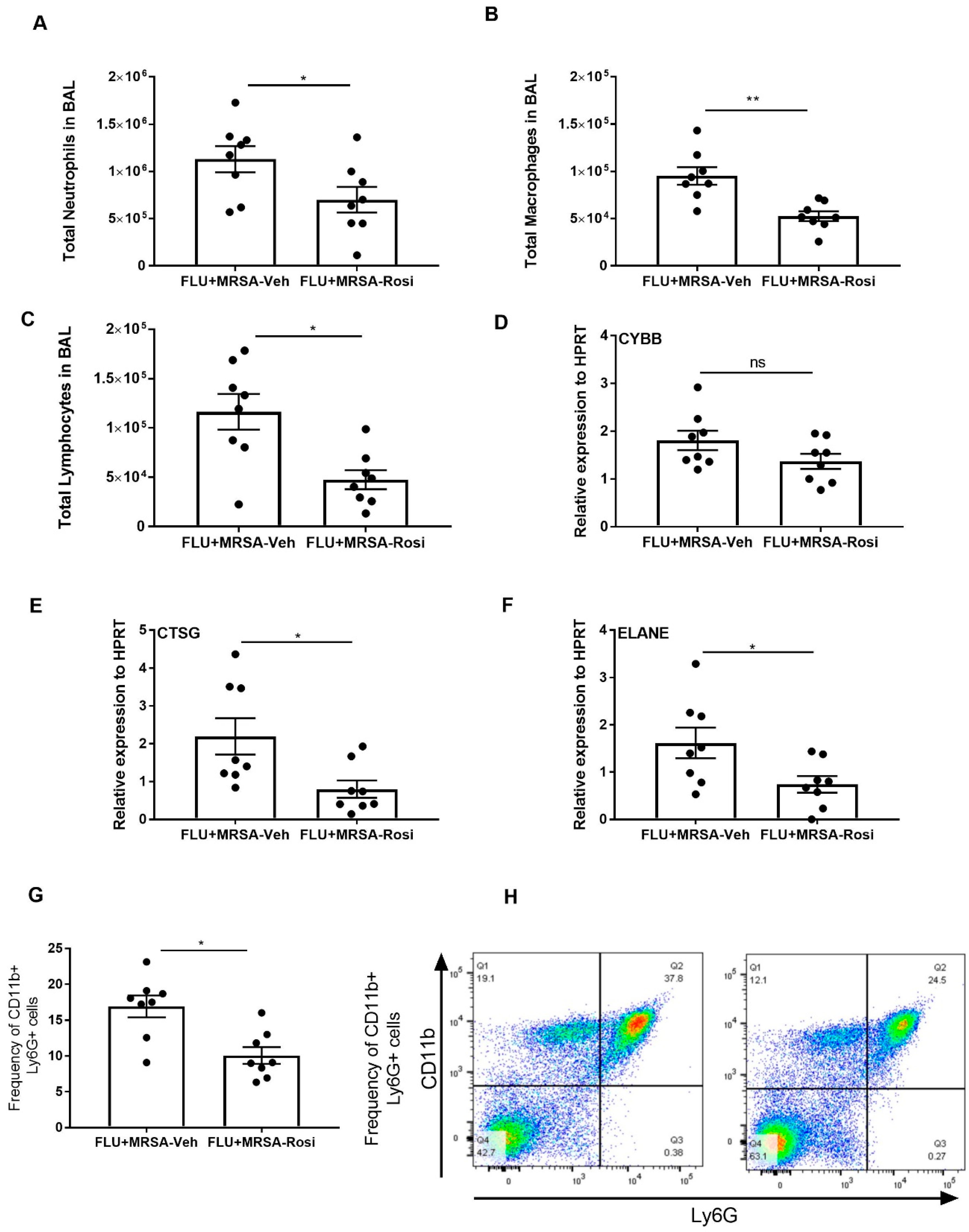 Viruses 11 00505 g007