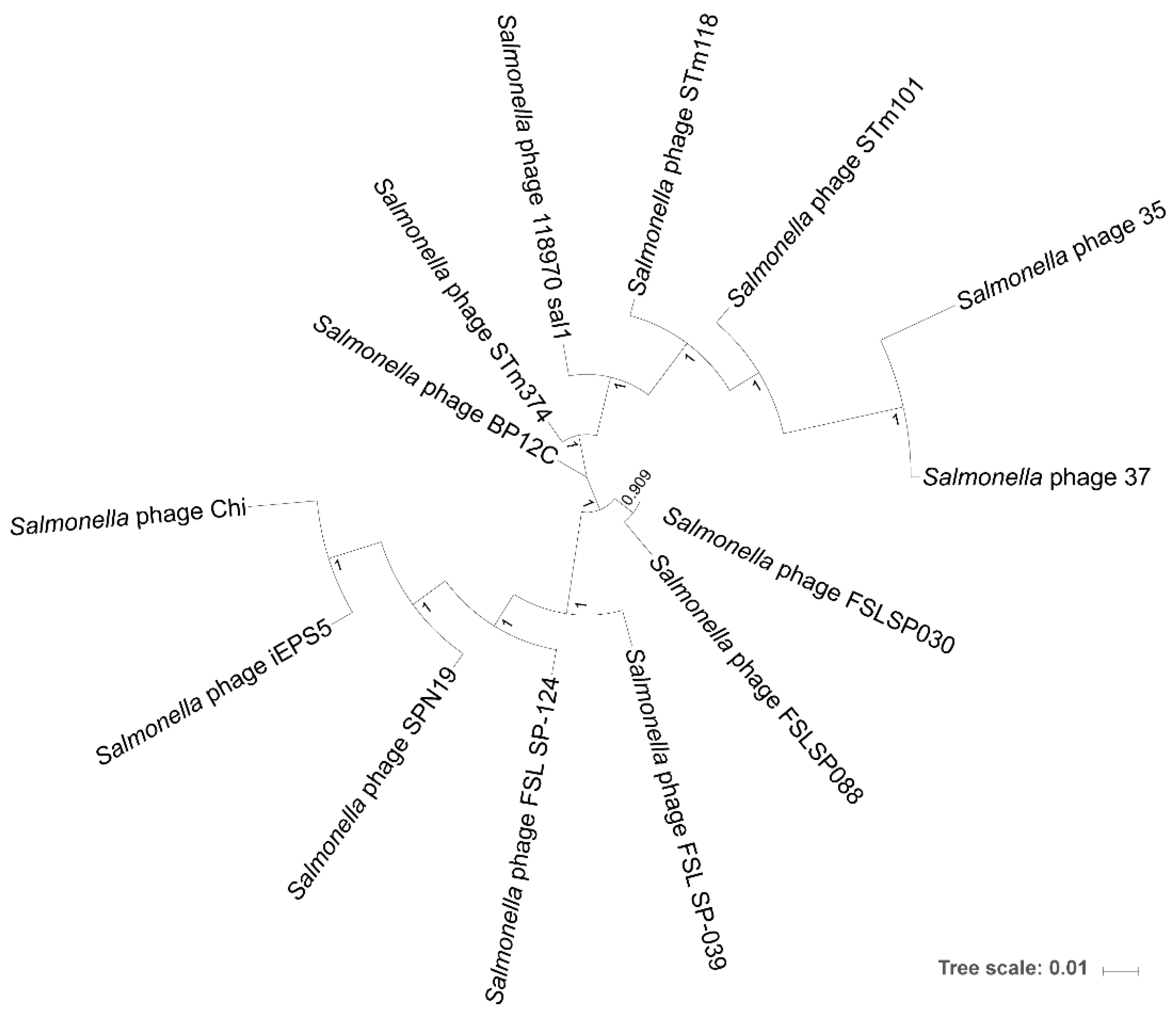 Viruses 11 00520 g004