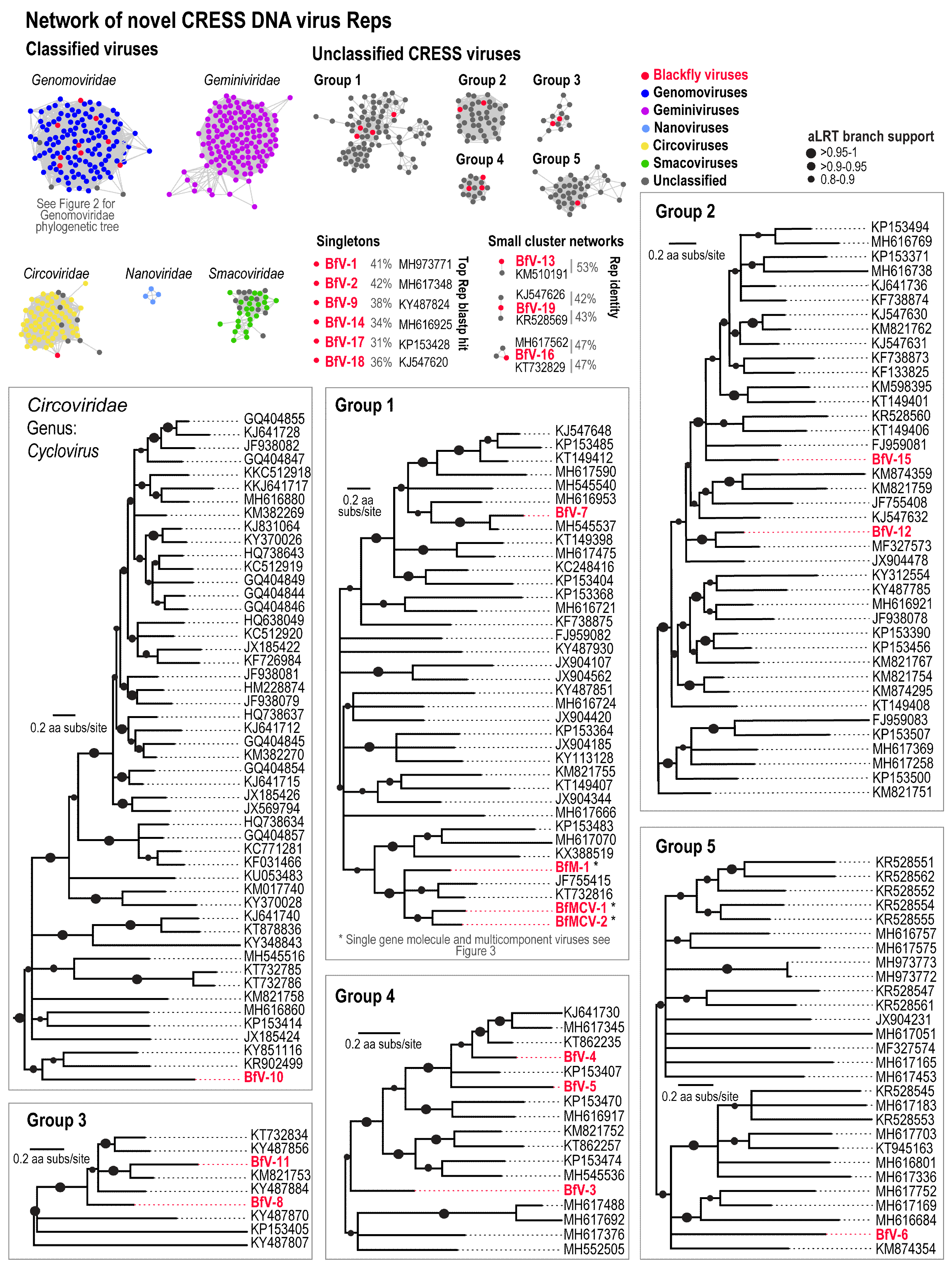 Viruses Free Full Text Unravelling The Single Stranded Dna Virome Of The New Zealand Blackfly Html