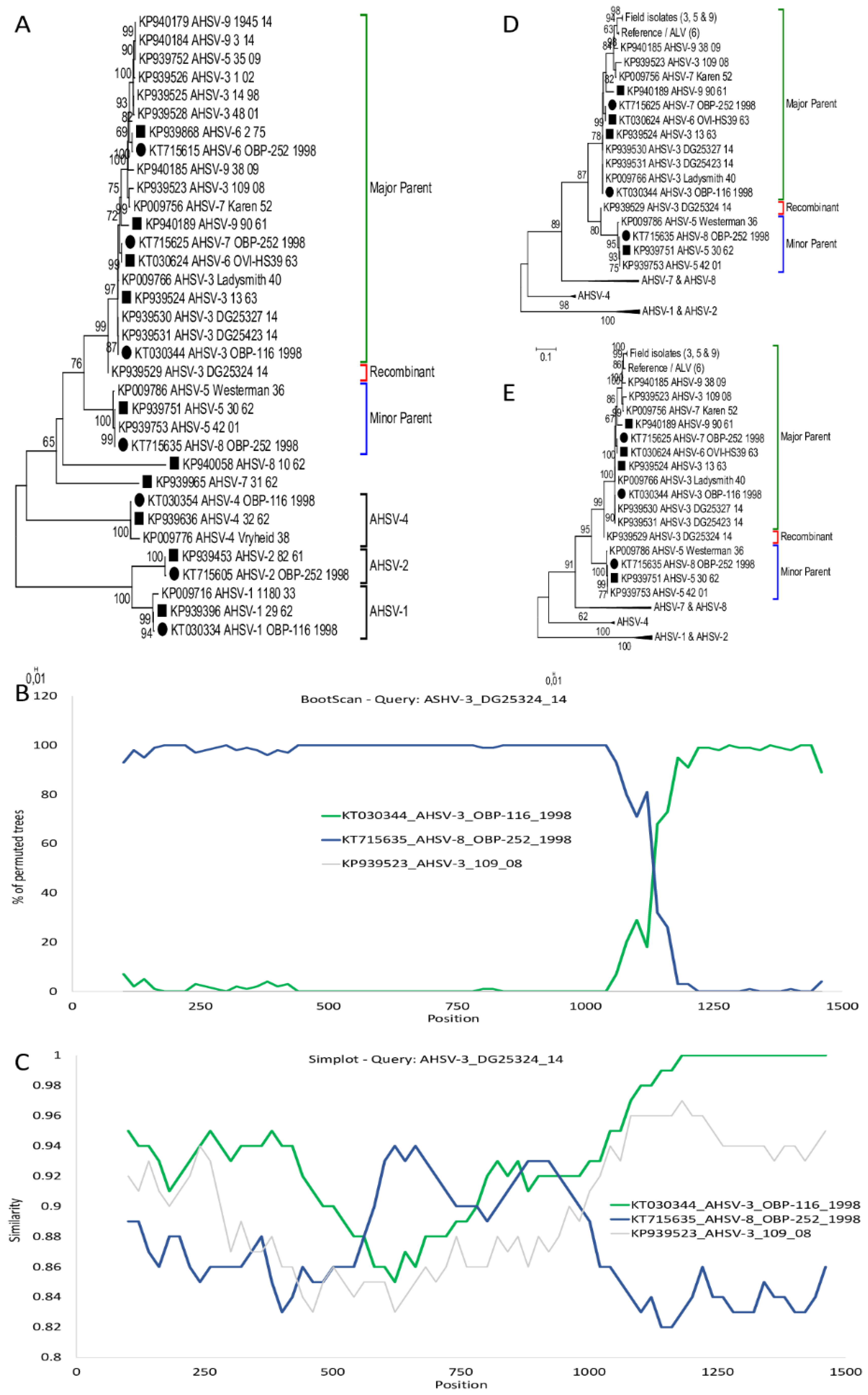 Viruses 11 00654 g002 Viruses 11 00654 g002