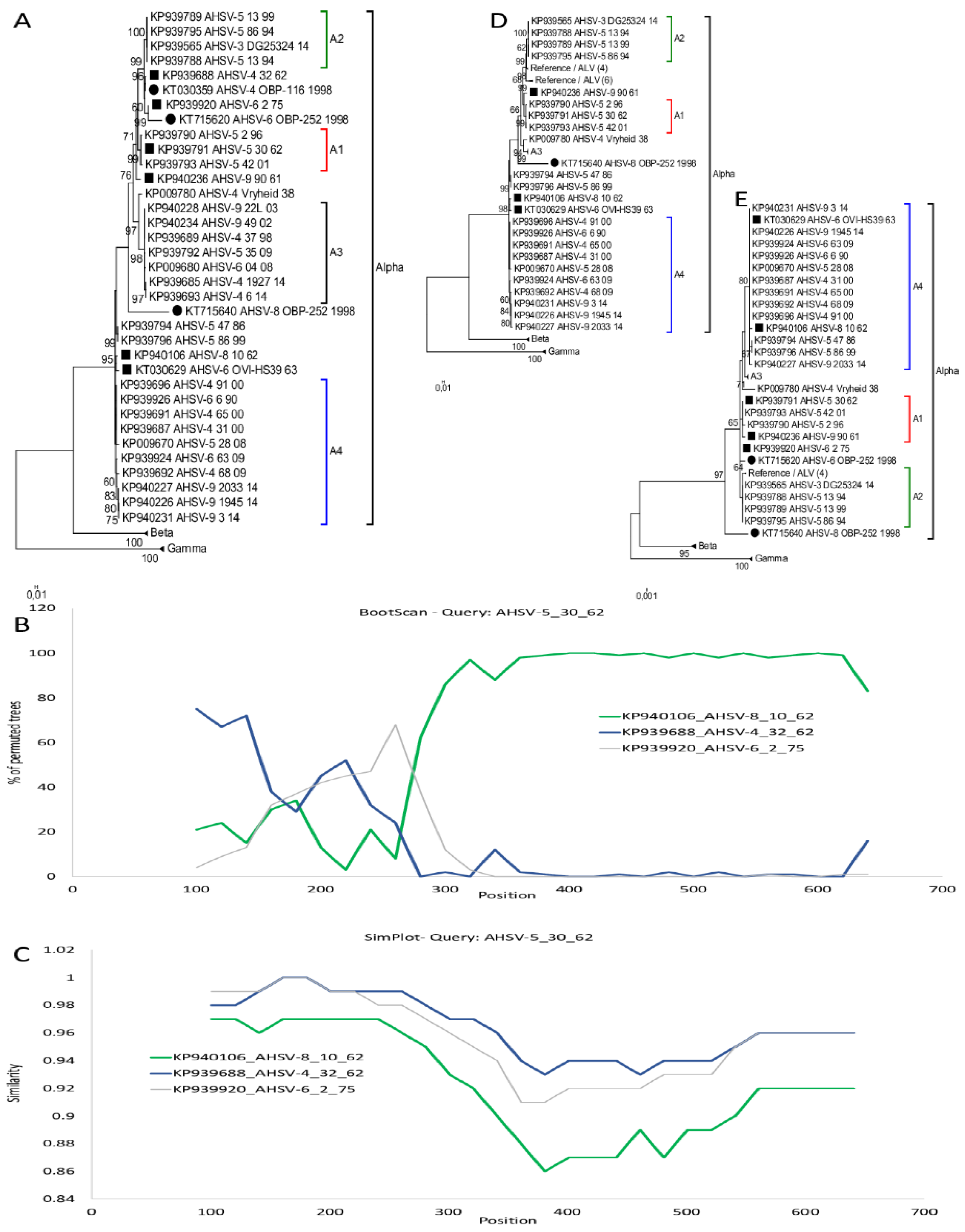 Viruses 11 00654 g004 Viruses 11 00654 g004