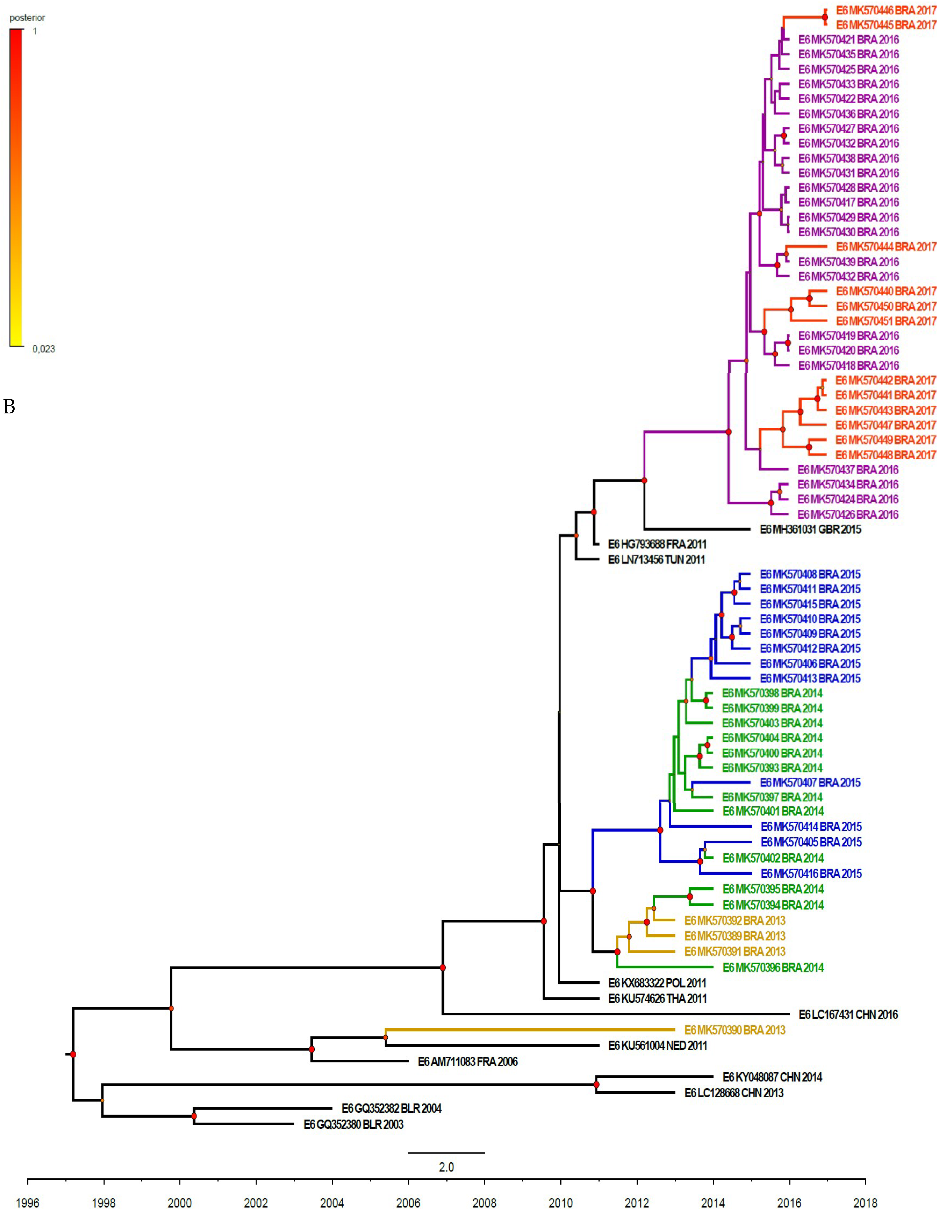 Viruses 11 00690 g004b Viruses 11 00690 g004b