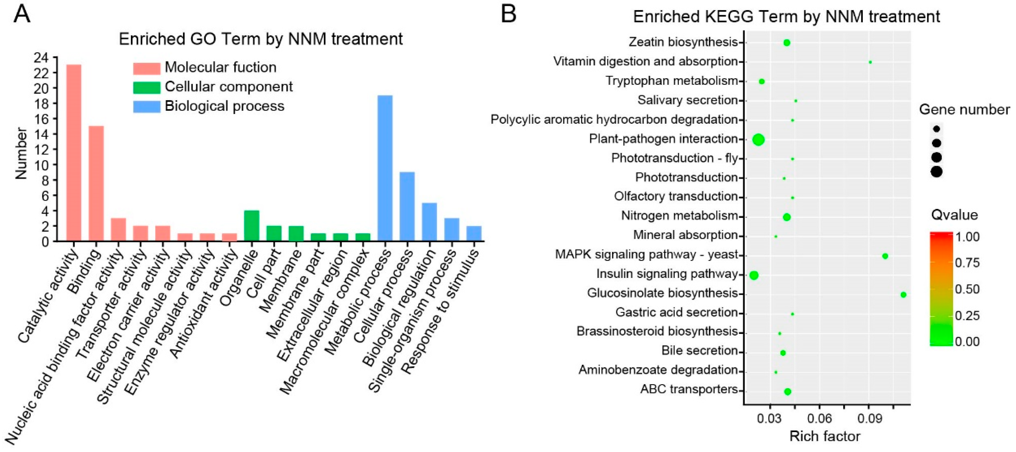 Viruses 11 00815 g003