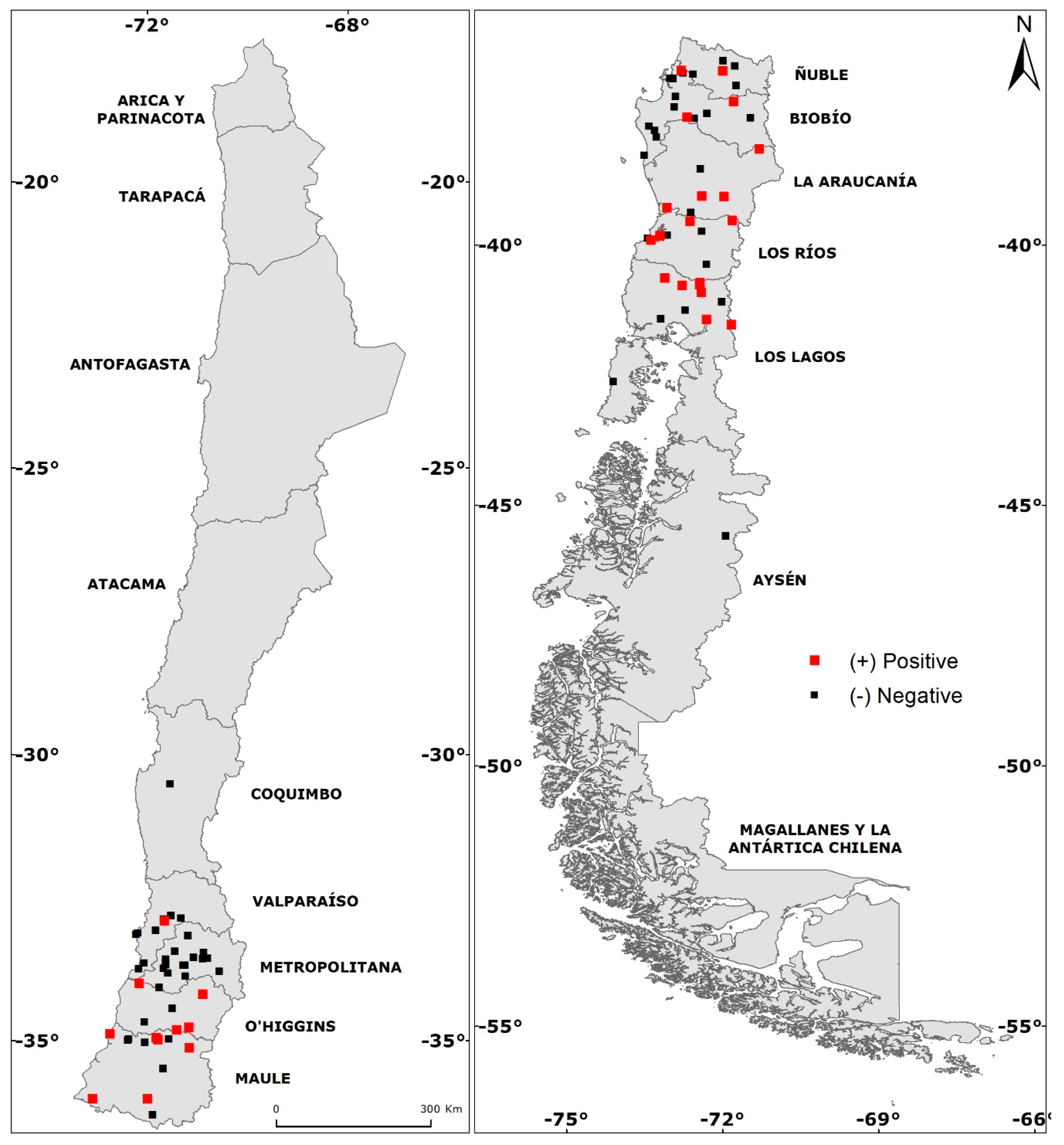Viruses | Free Full-Text | A 19 Year Analysis of Small Mammals Associated  with Human Hantavirus Cases in Chile