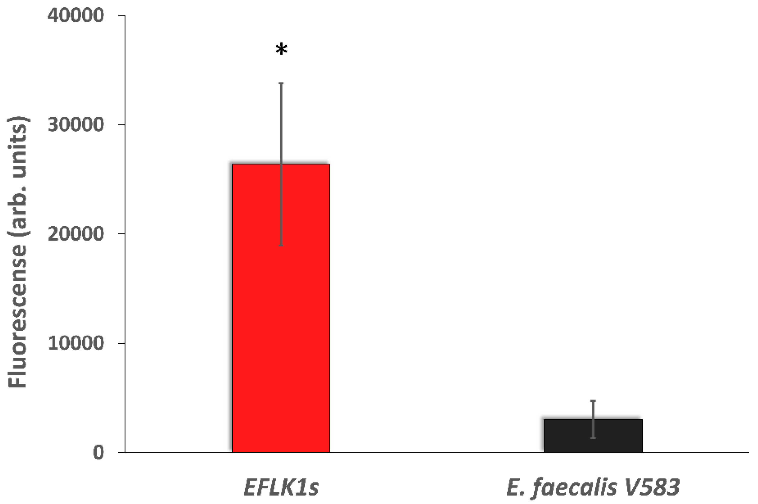 Viruses 11 00954 g008