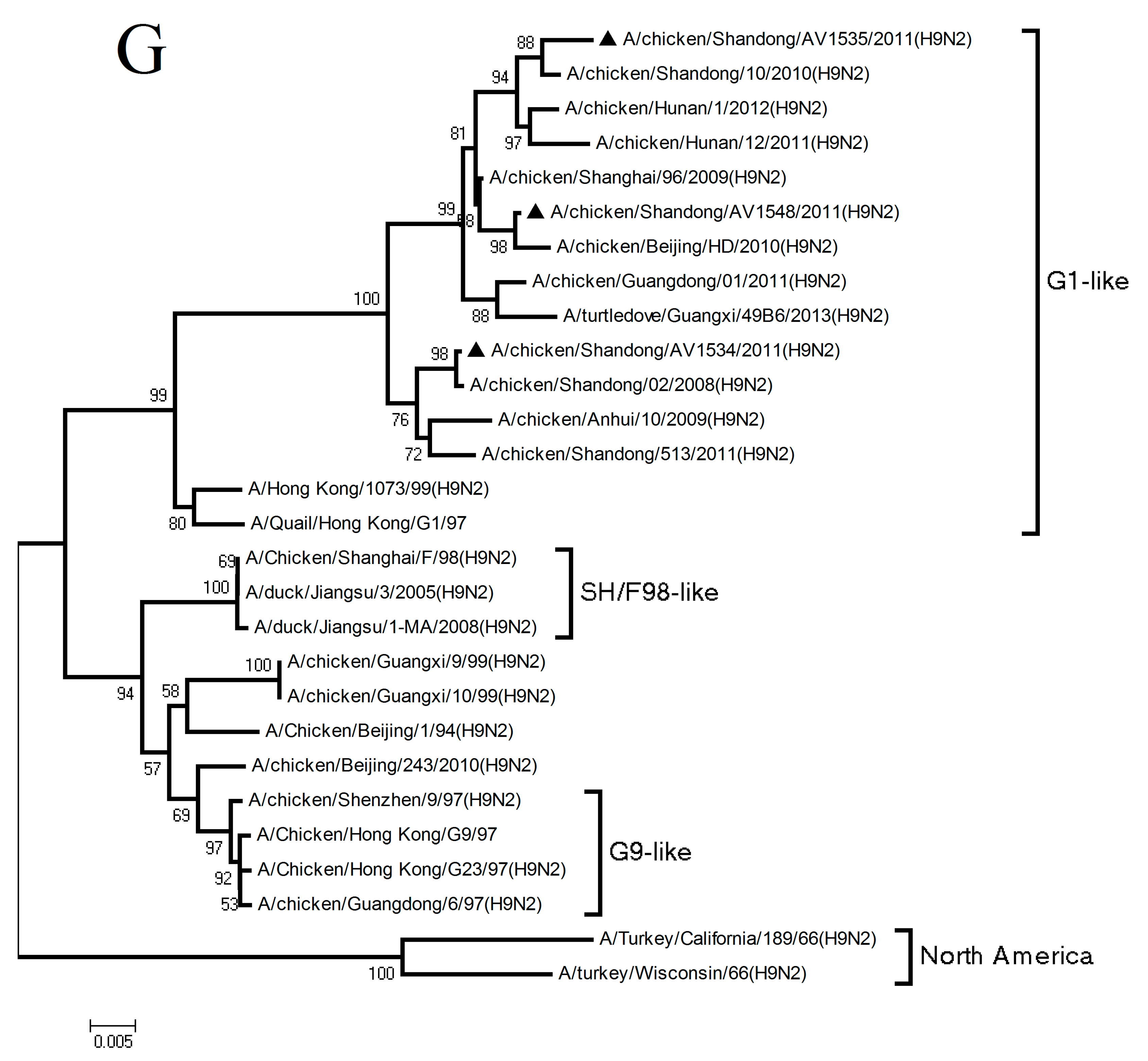 Viruses 11 01127 g001g Viruses 11 01127 g001g