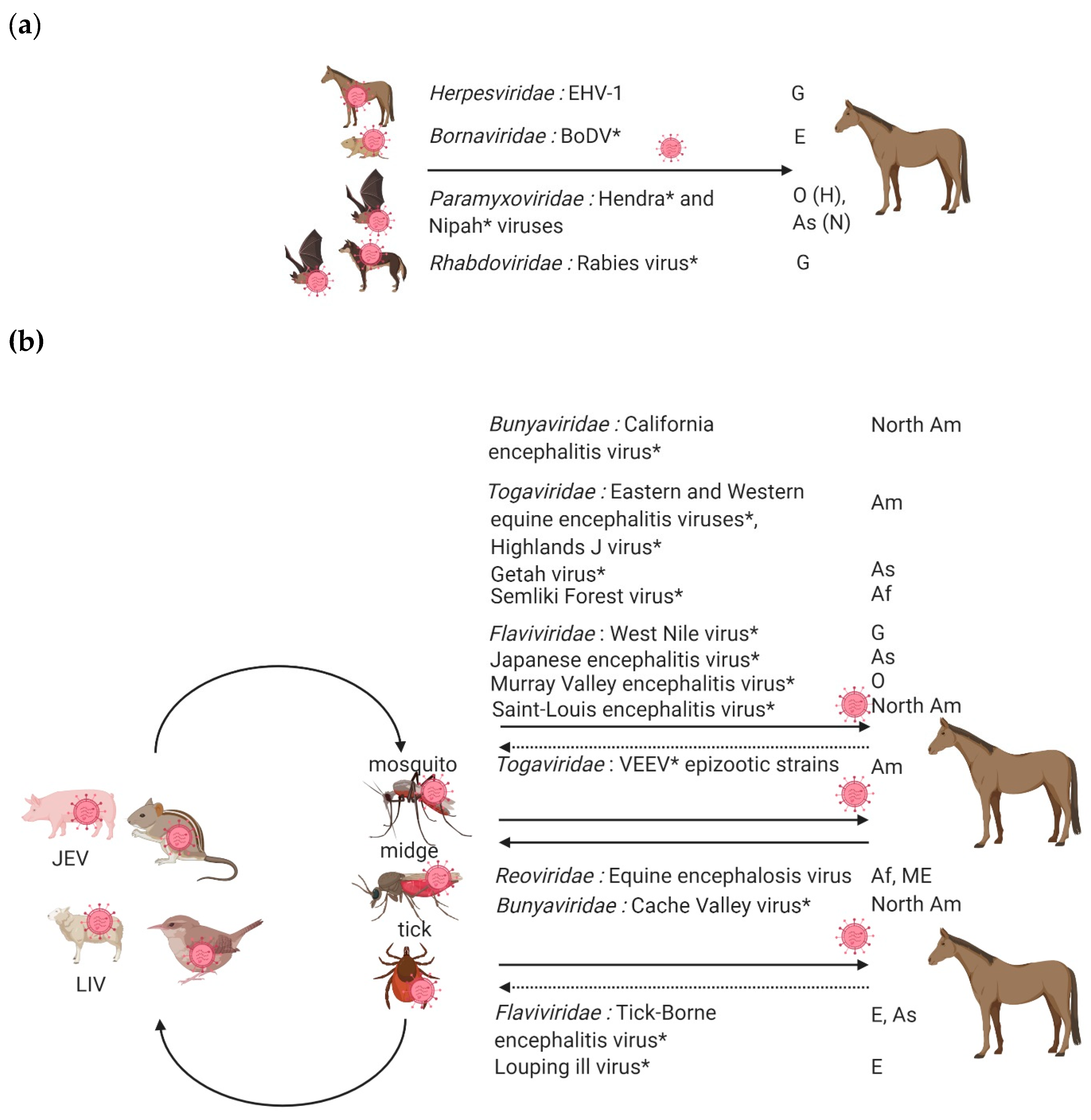Viruses | Free Full-Text | Viral Equine Encephalitis, a Growing Threat to  the Horse Population in Europe?