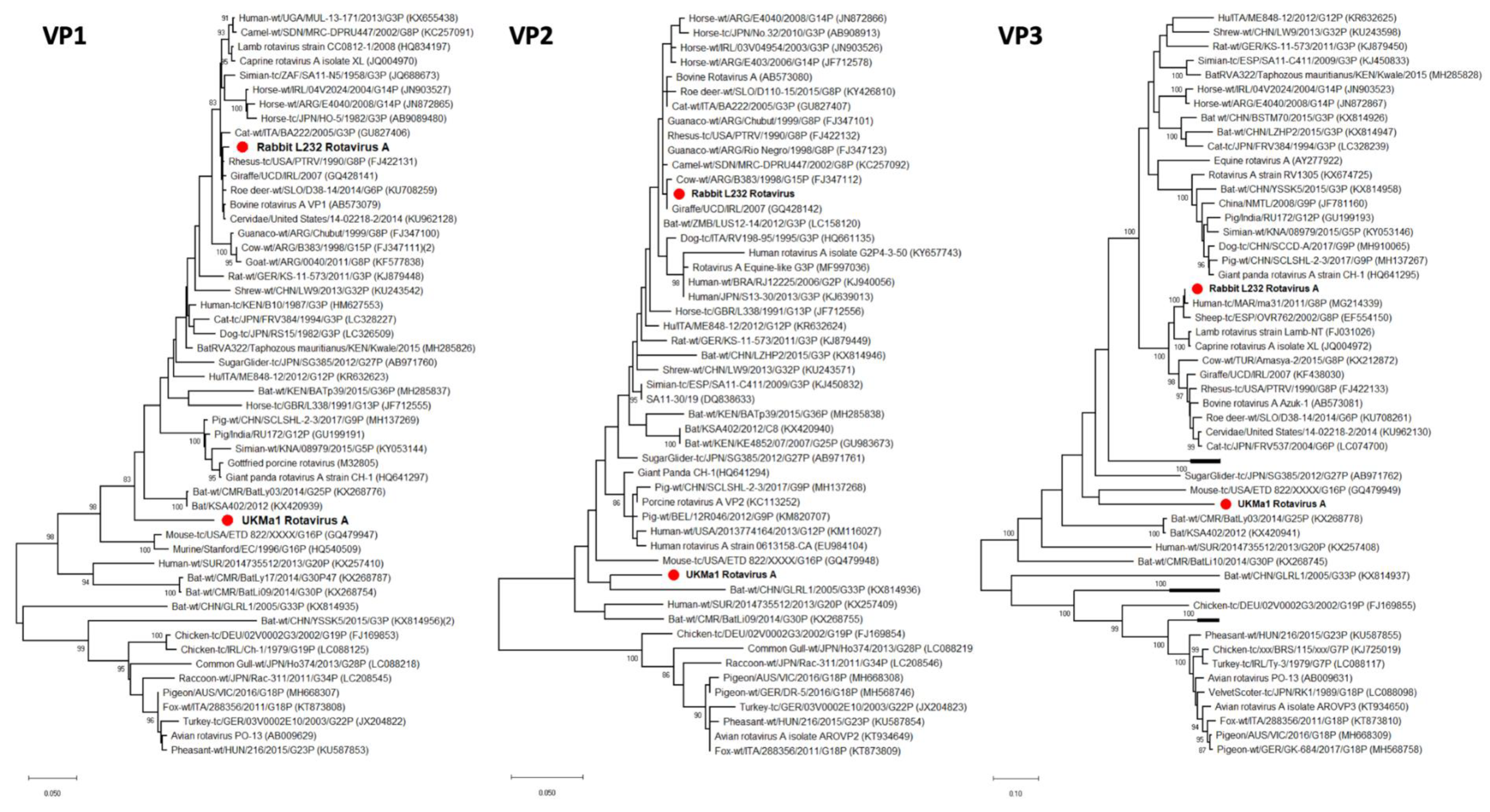 Viruses 12 00047 g004 Viruses 12 00047 g004