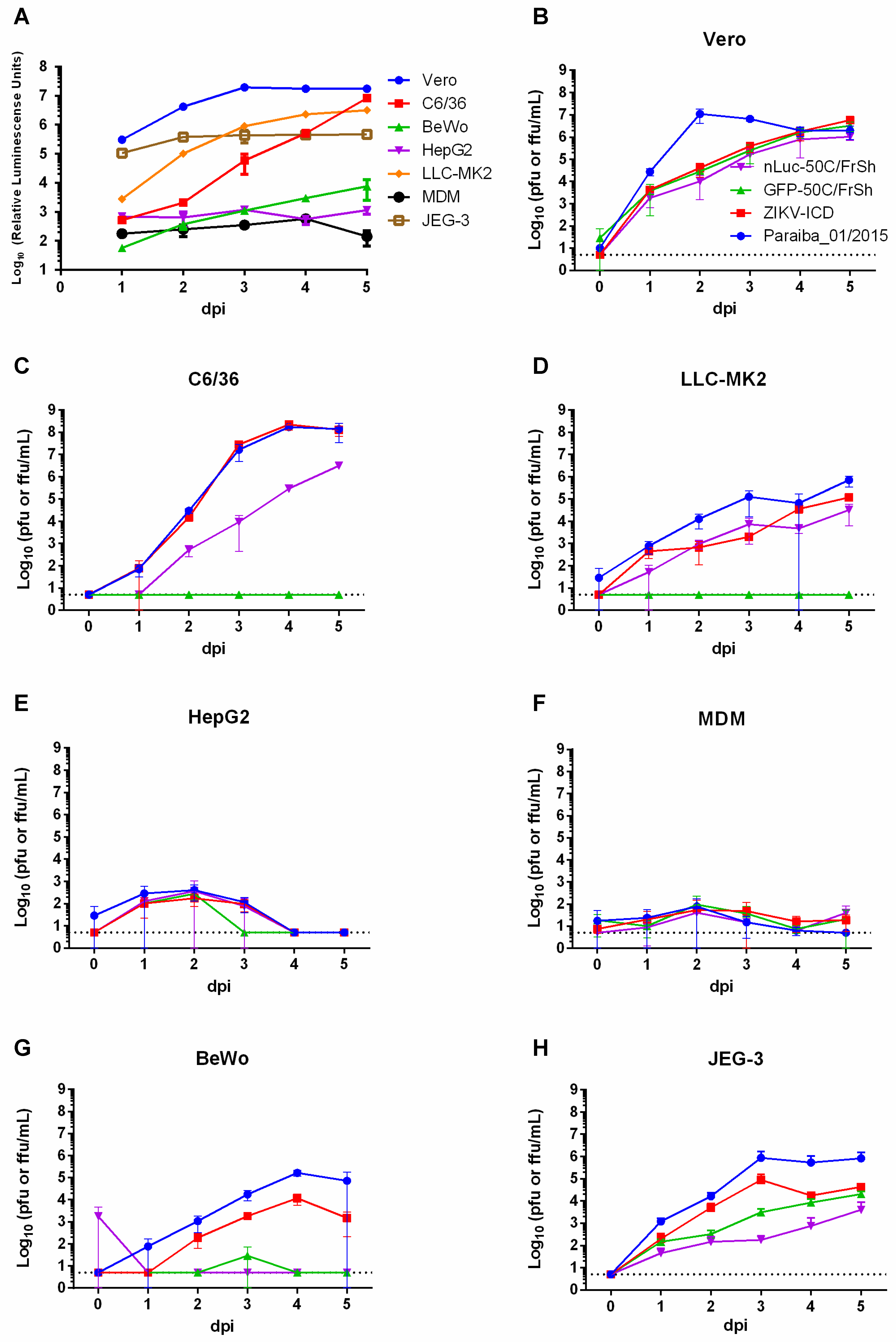 Viruses 12 00061 g005 Viruses 12 00061 g005
