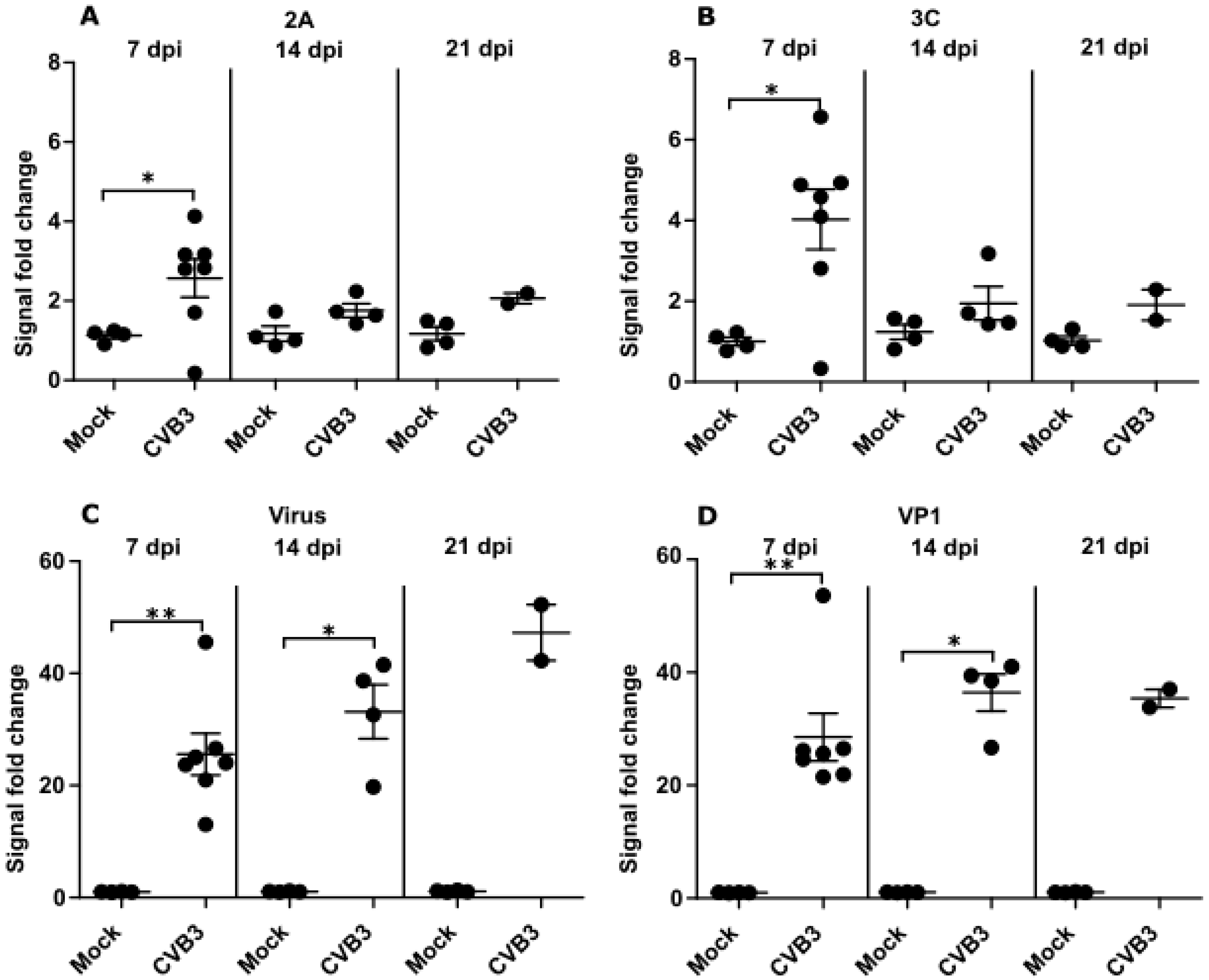 Viruses 12 00078 g003
