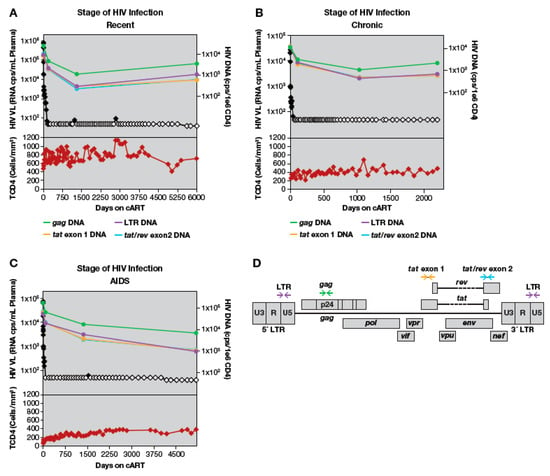 Defining total-body AIDS-virus burden with implications for