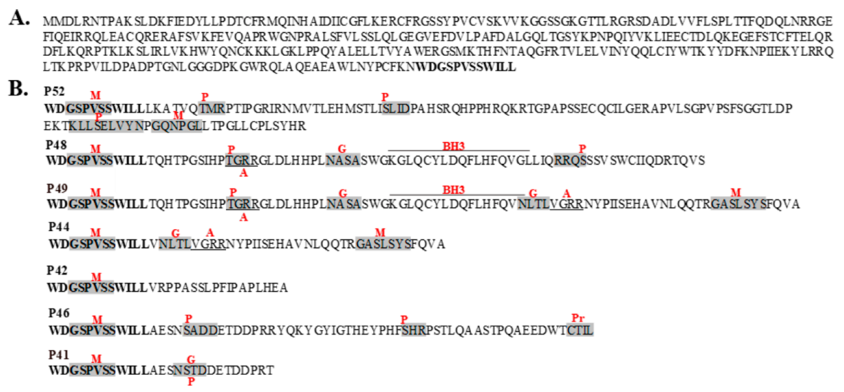 Viruses 12 00152 g001