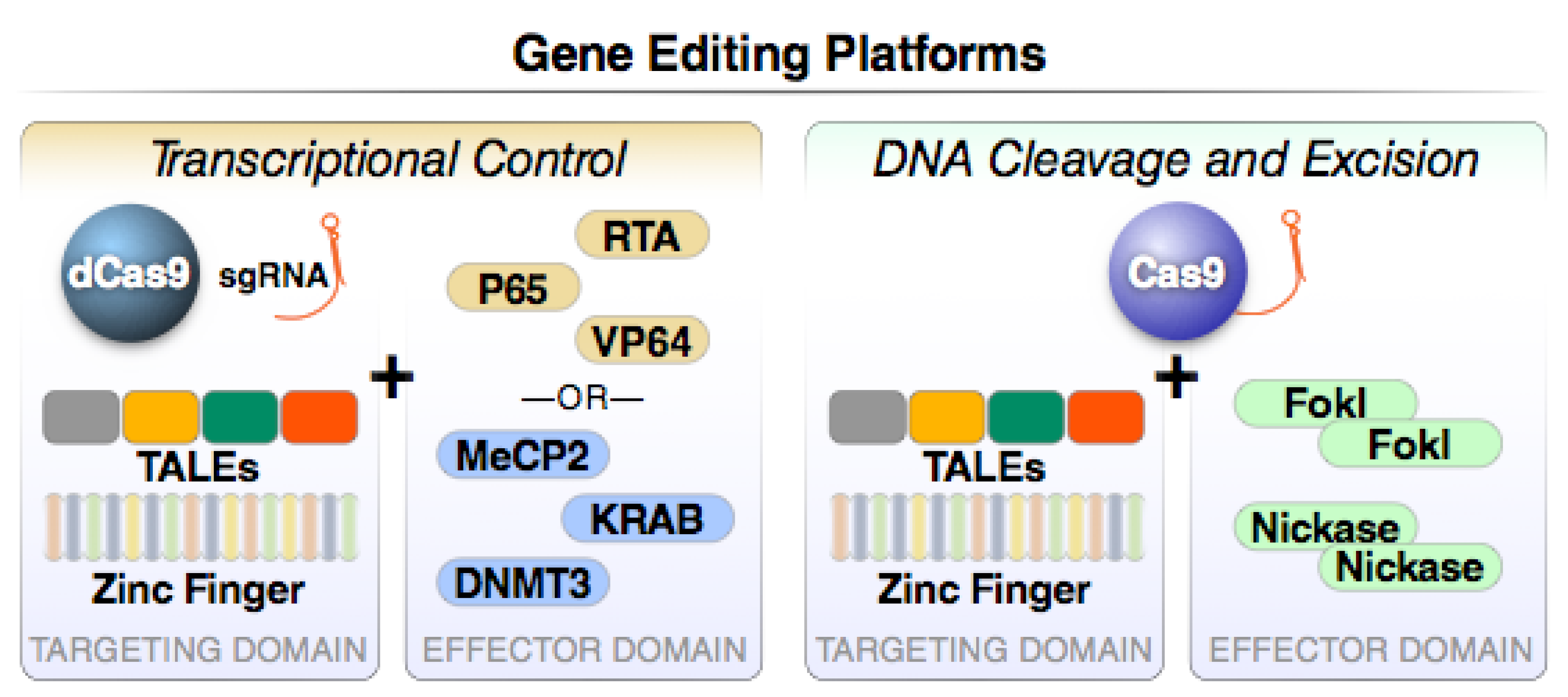 Viruses Free Full Text Reduce And Control A Combinatorial Strategy For Achieving Sustained Hiv Remissions In The Absence Of Antiretroviral Therapy Html