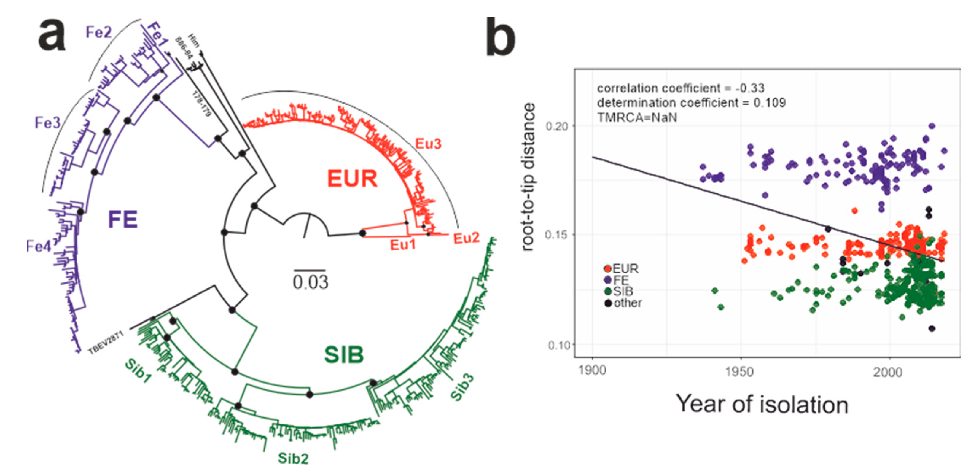 Viruses | Free Full-Text | Tick-Borne Encephalitis Virus: An Emerging