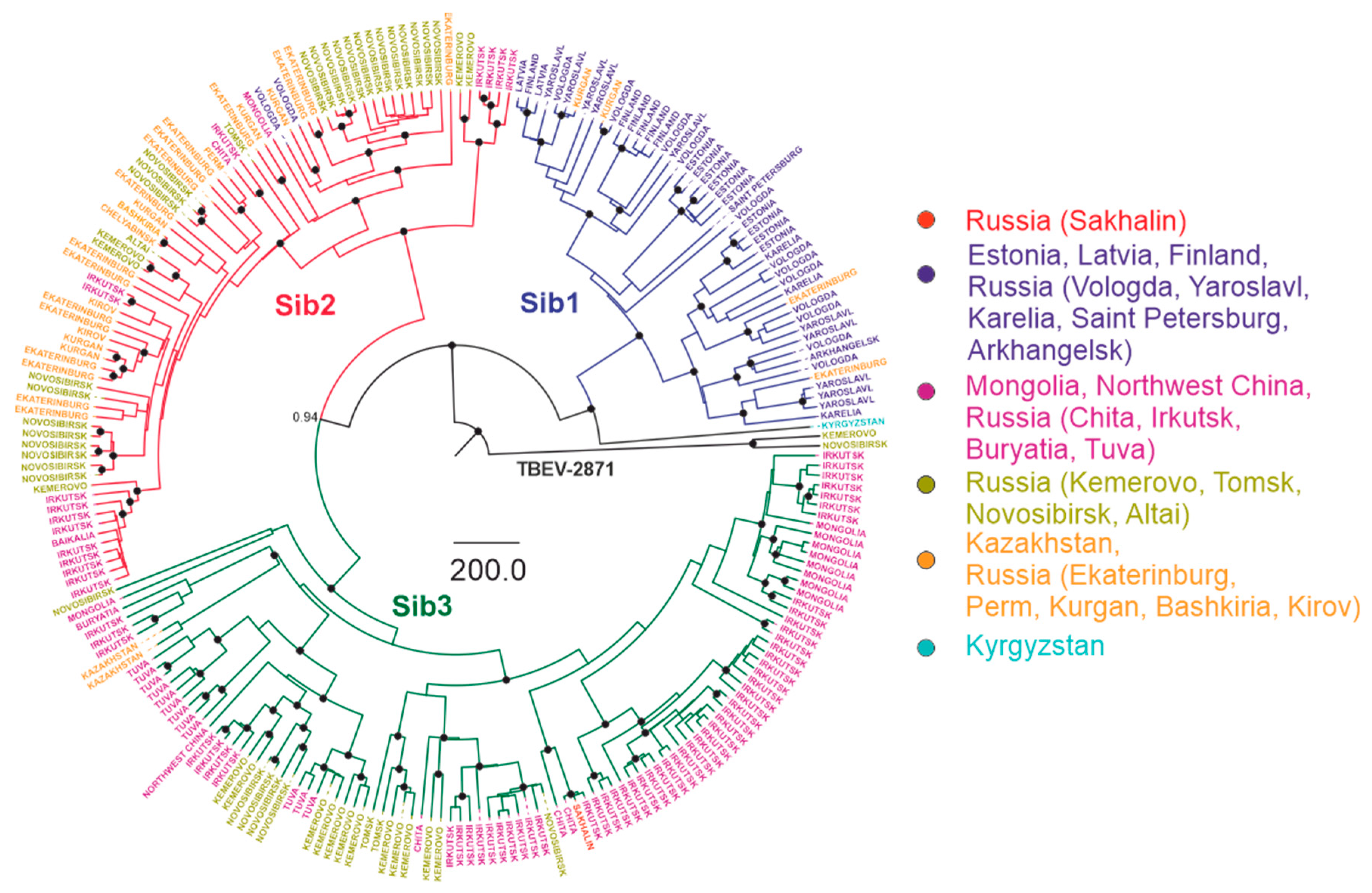 Viruses | Free Full-Text | Tick-Borne Encephalitis Virus: An Emerging