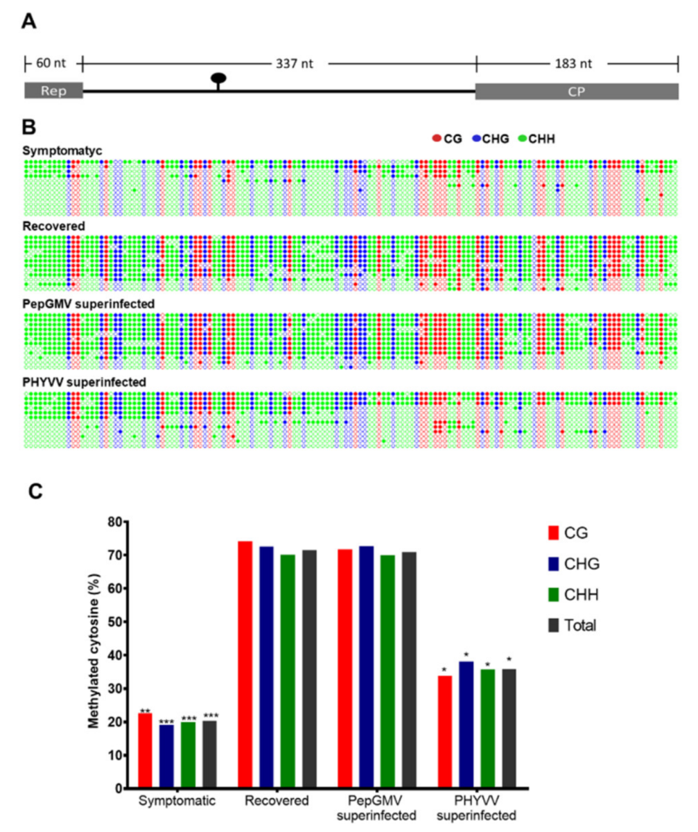 Viruses 12 00286 g002