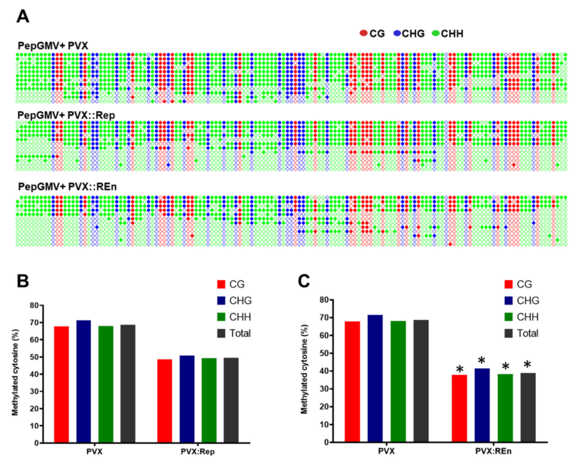 Viruses 12 00286 g005