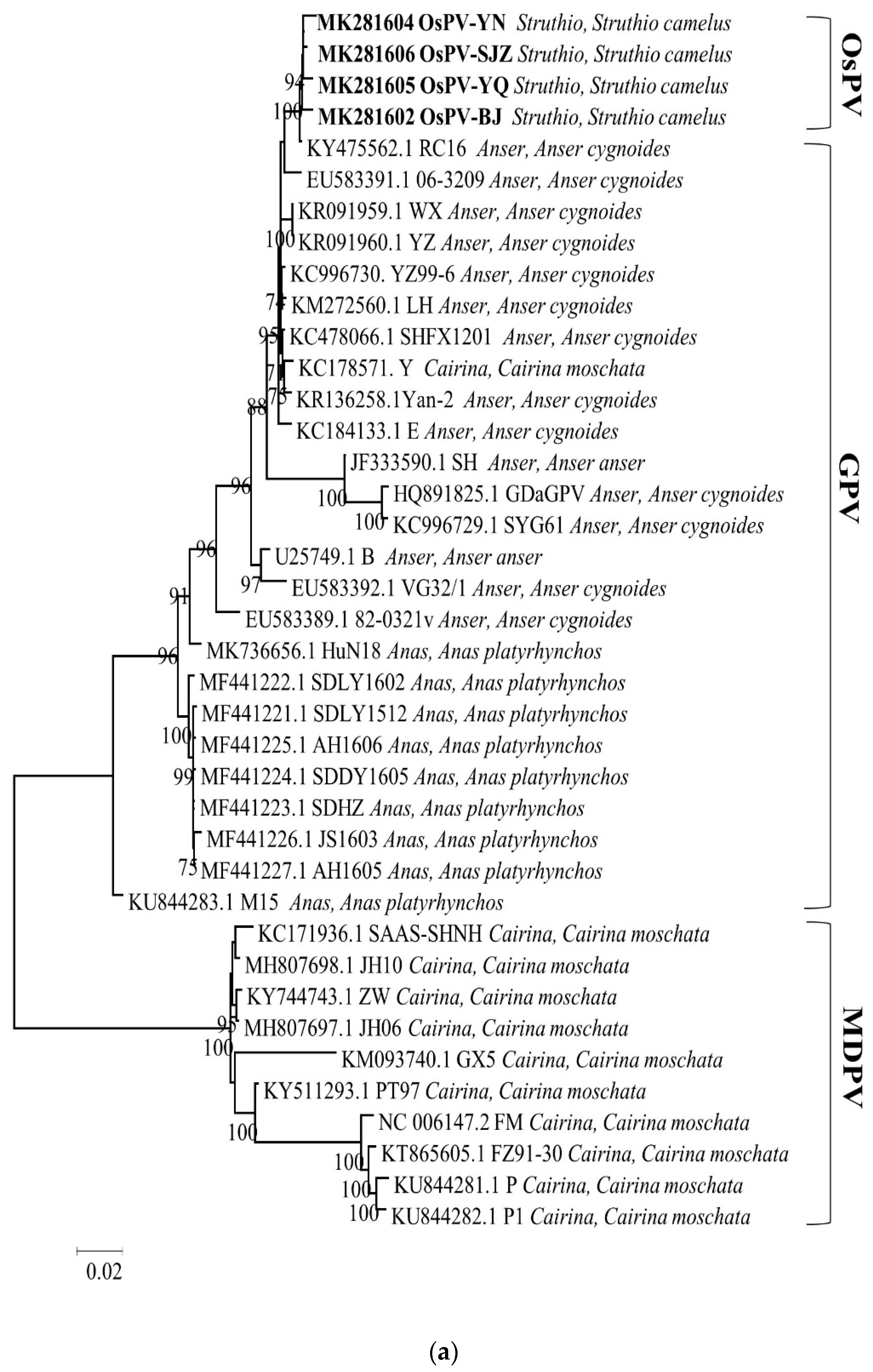Viruses 12 00334 g002a Viruses 12 00334 g002a