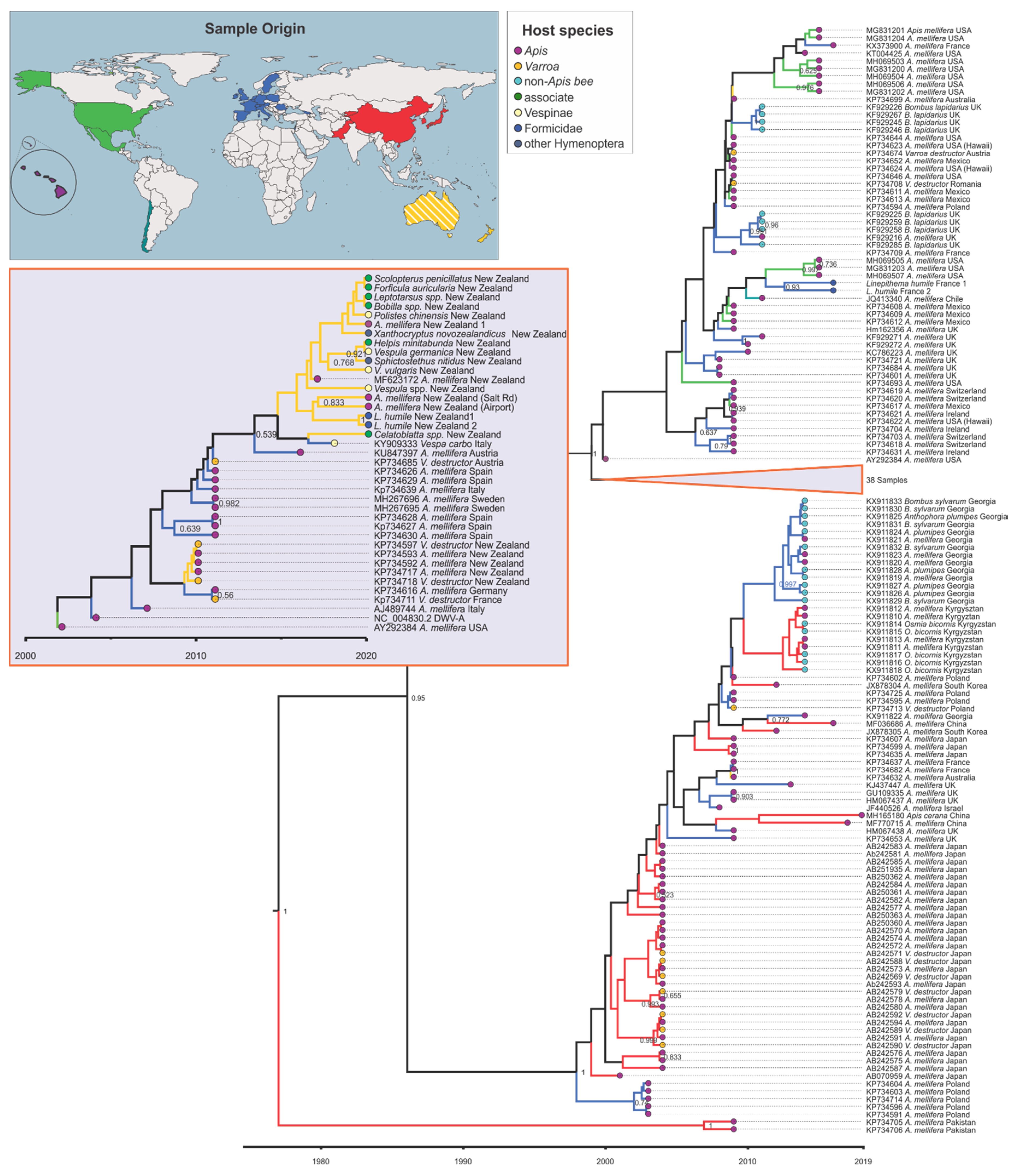 Viruses 12 00358 g002