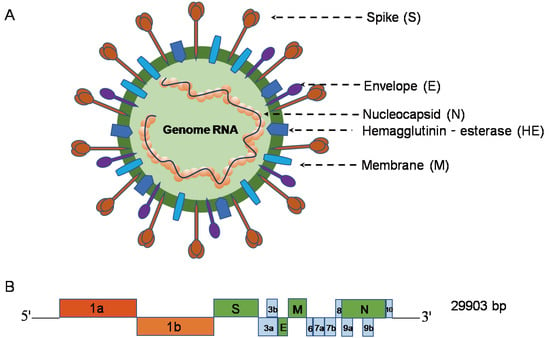 Viruses Free Full Text Virology Epidemiology Pathogenesis And Control Of Covid 19 Html