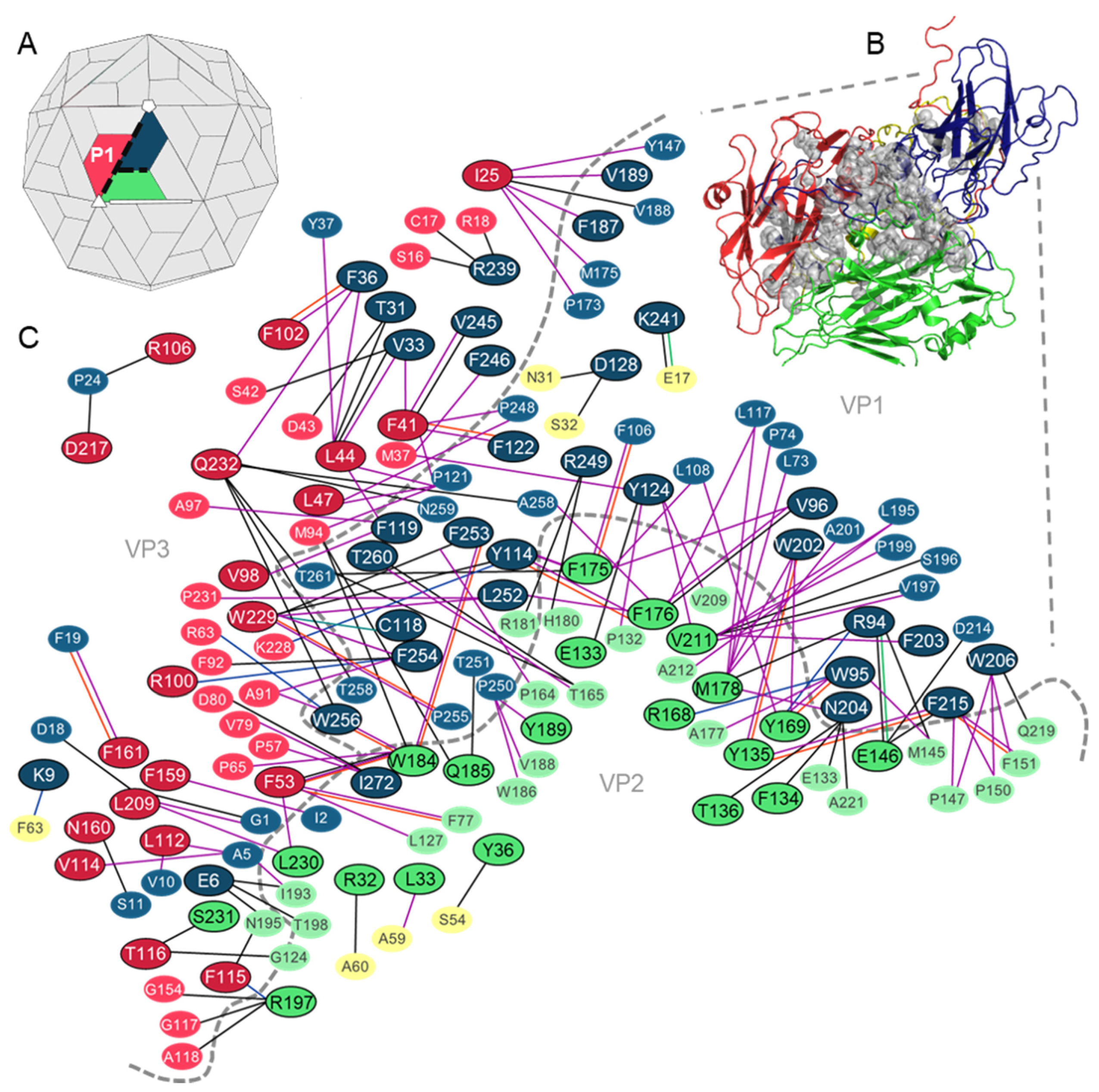 Viruses 12 00387 g003 Viruses 12 00387 g003