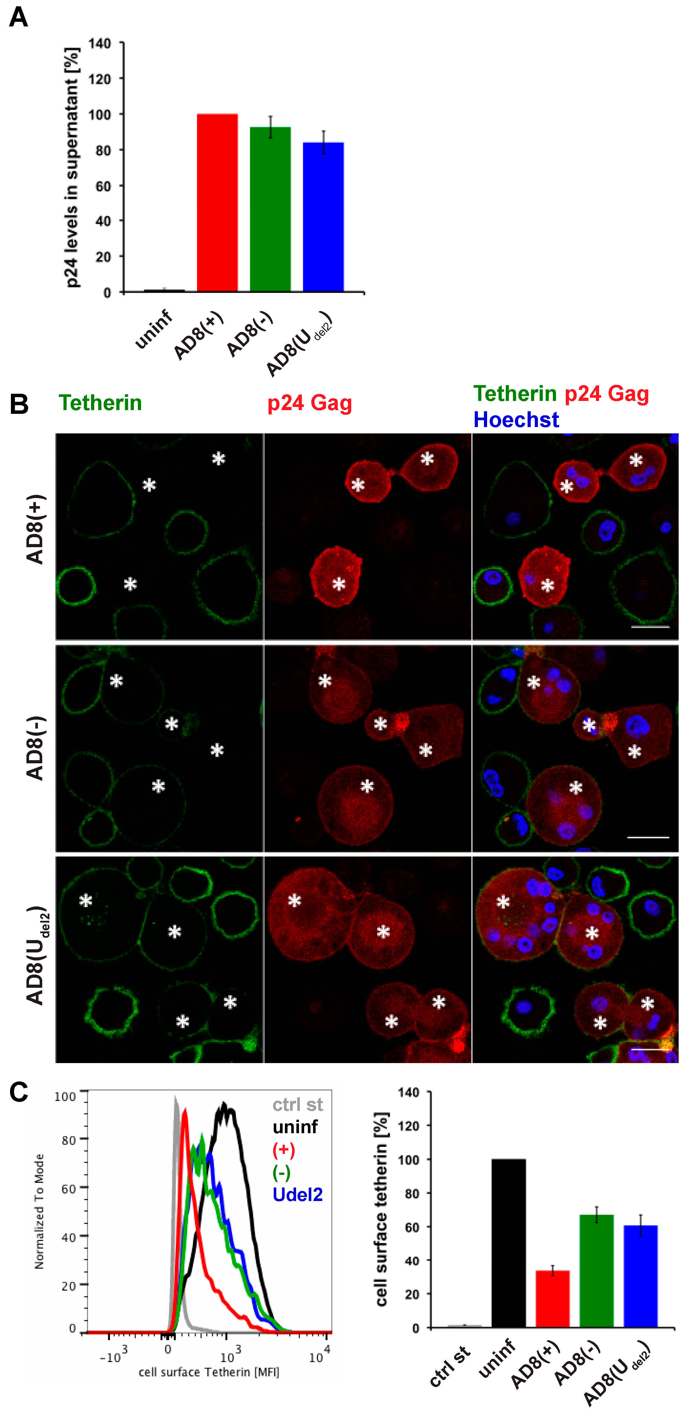 Viruses | Free Full-Text | The Nef Protein of the Macrophage Tropic HIV-1  Strain AD8 Counteracts Human BST-2/Tetherin