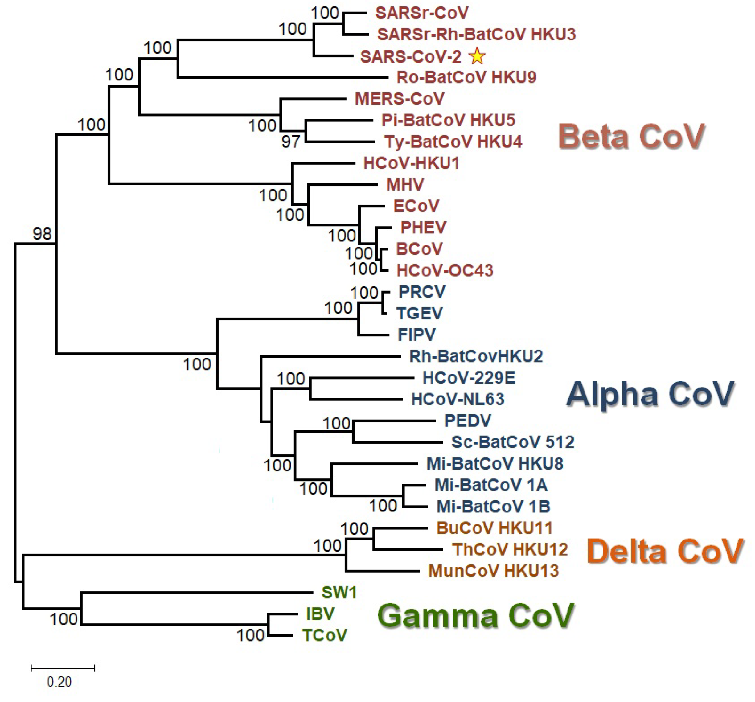 Viruses 12 00498 g0a3 Viruses 12 00498 g0a3