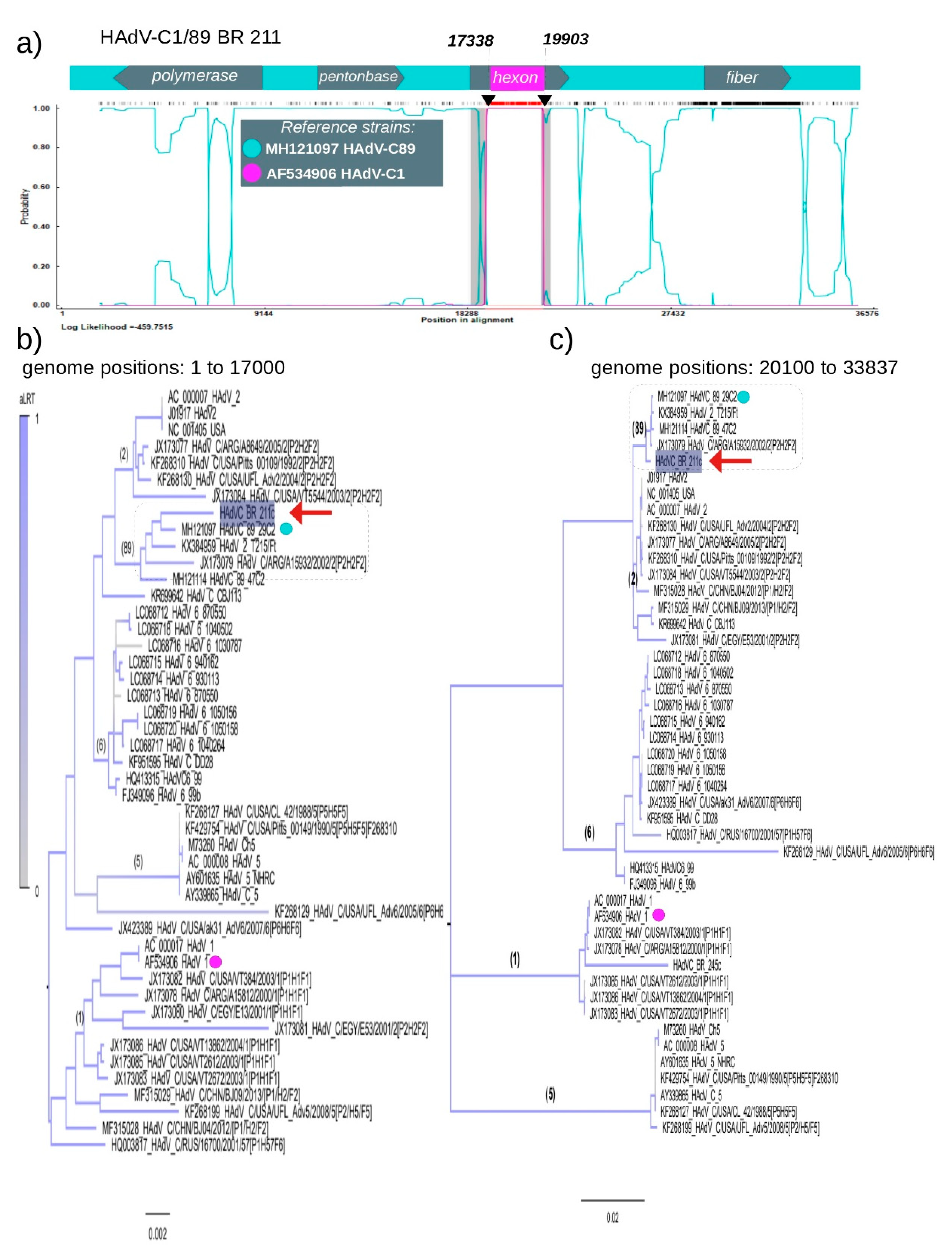 Viruses 12 00508 g003