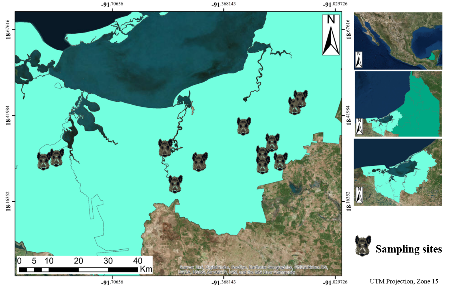 Viruses 12 00528 g001 Viruses 12 00528 g001