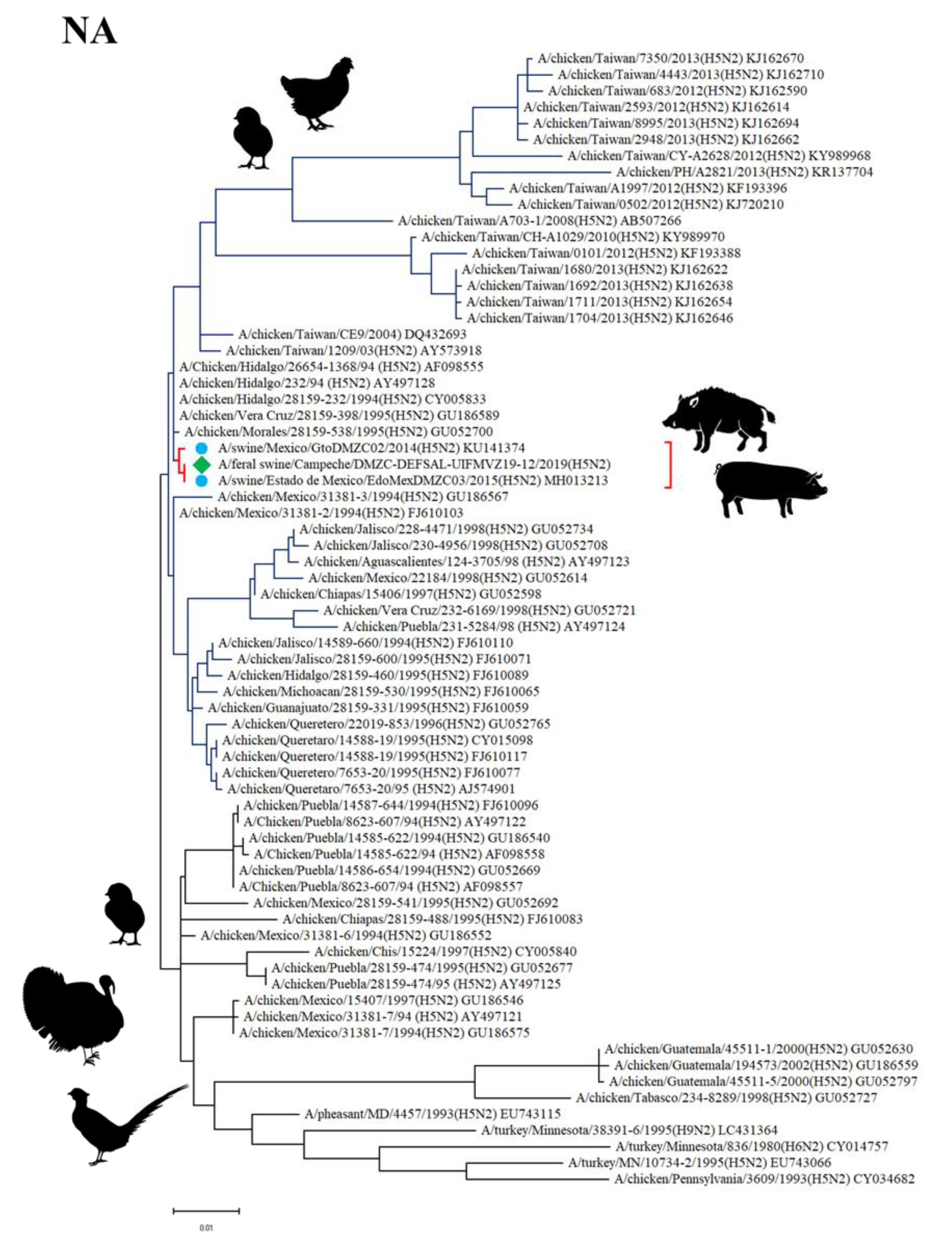 Viruses 12 00528 g003 Viruses 12 00528 g003